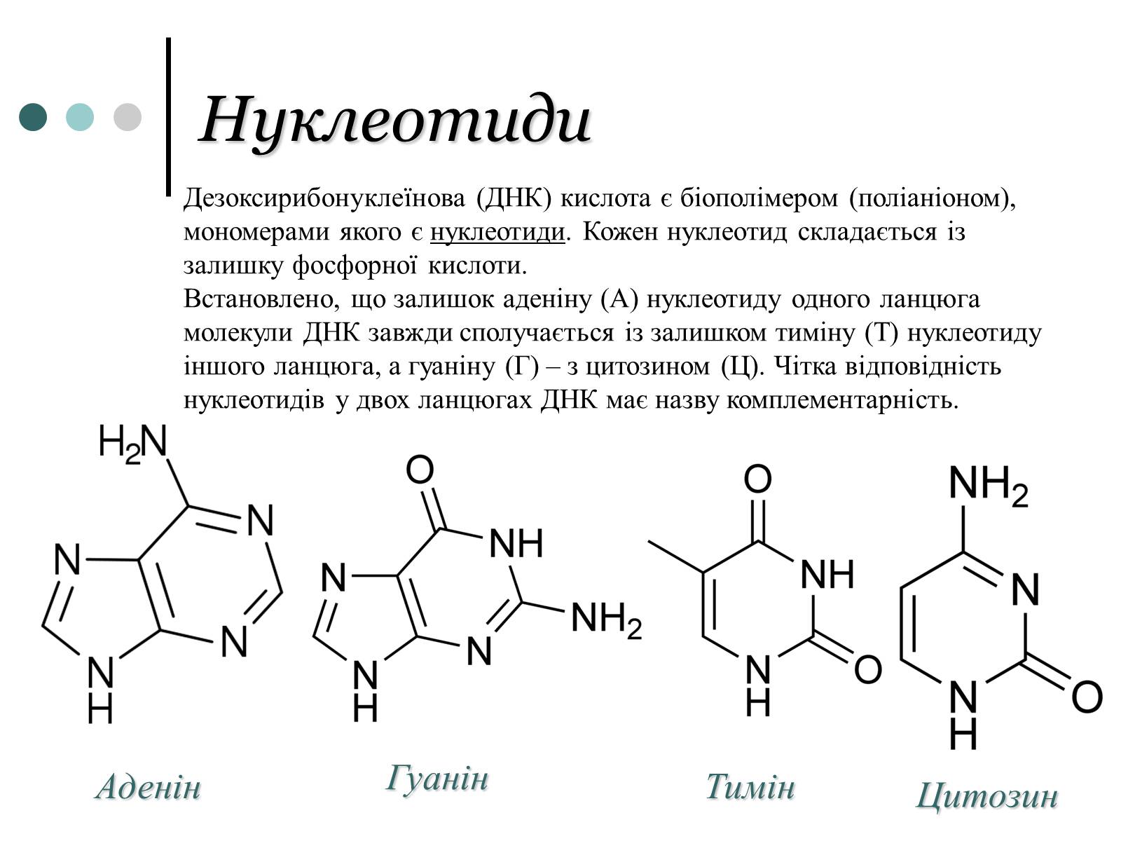 Презентація на тему «Будова, властивості та функції ДНК» - Слайд #5 Презентація на тему «Будова, властивості та функції ДНК» - Слайд #5
