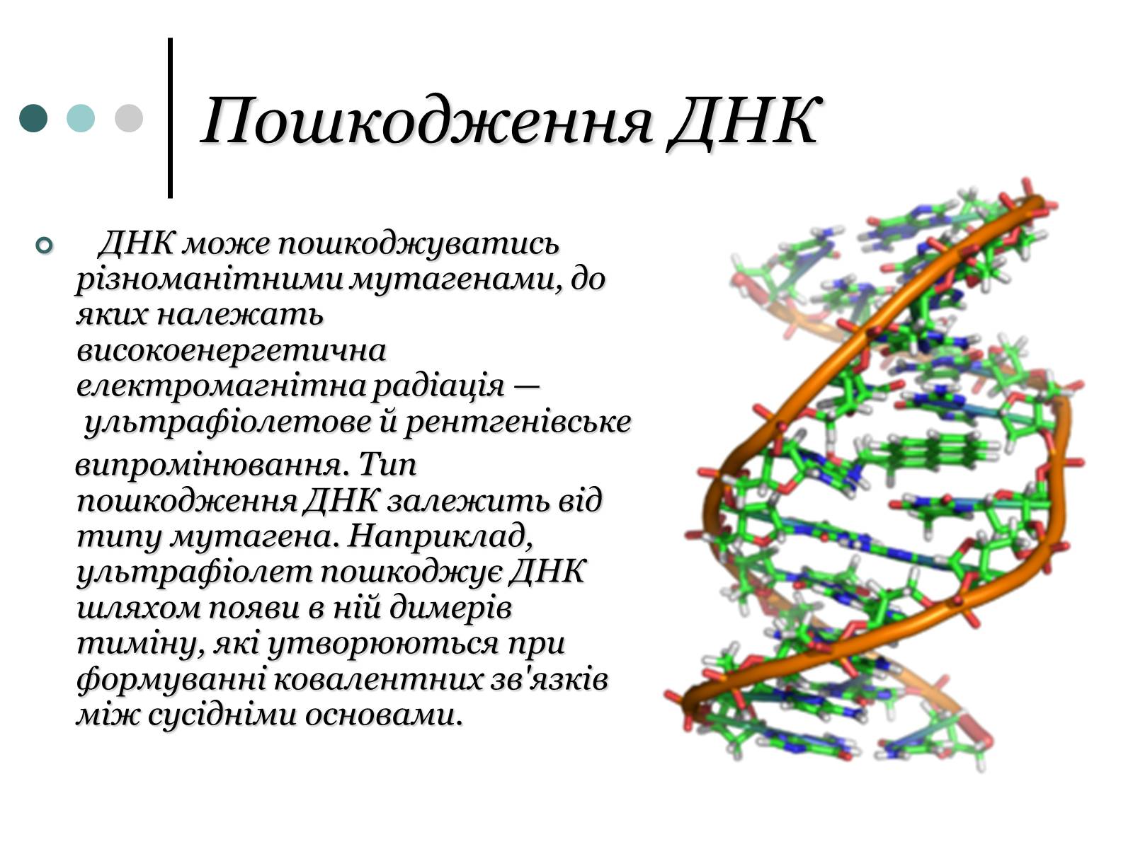 Презентація на тему «Будова, властивості та функції ДНК» - Слайд #7 Презентація на тему «Будова, властивості та функції ДНК» - Слайд #7