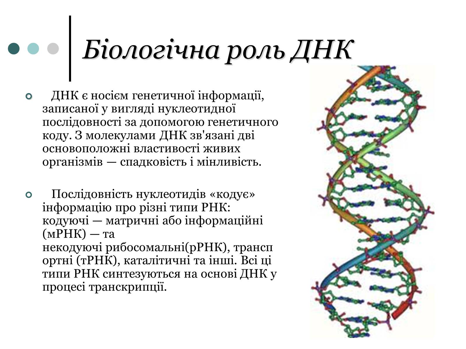 Презентація на тему «Будова, властивості та функції ДНК» - Слайд #8 Презентація на тему «Будова, властивості та функції ДНК» - Слайд #8