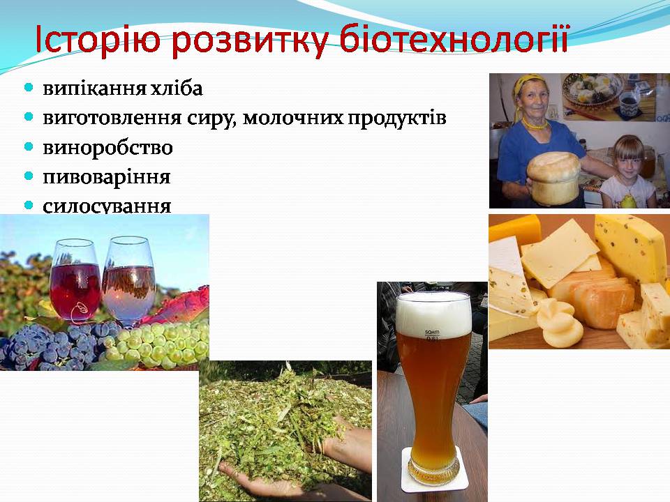 Презентація на тему «Біотехнологія, химерні та трансгенні організми» - Слайд #7 Презентація на тему «Біотехнологія, химерні та трансгенні організми» - Слайд #7