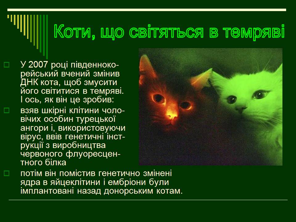 Презентація на тему «Трансгенні організми» (варіант 8) - Слайд #10 Презентація на тему «Трансгенні організми» (варіант 8) - Слайд #10