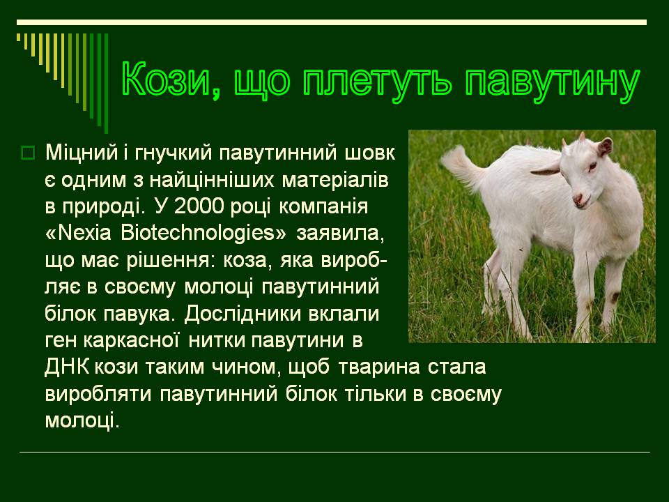Презентація на тему «Трансгенні організми» (варіант 8) - Слайд #12 Презентація на тему «Трансгенні організми» (варіант 8) - Слайд #12