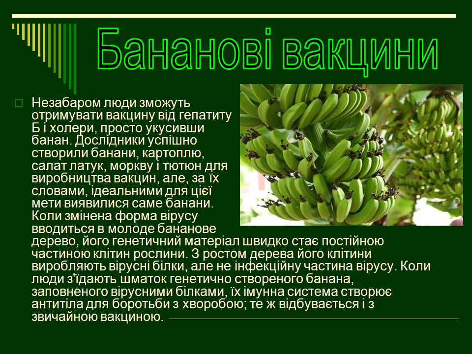 Презентація на тему «Трансгенні організми» (варіант 8) - Слайд #15 Презентація на тему «Трансгенні організми» (варіант 8) - Слайд #15