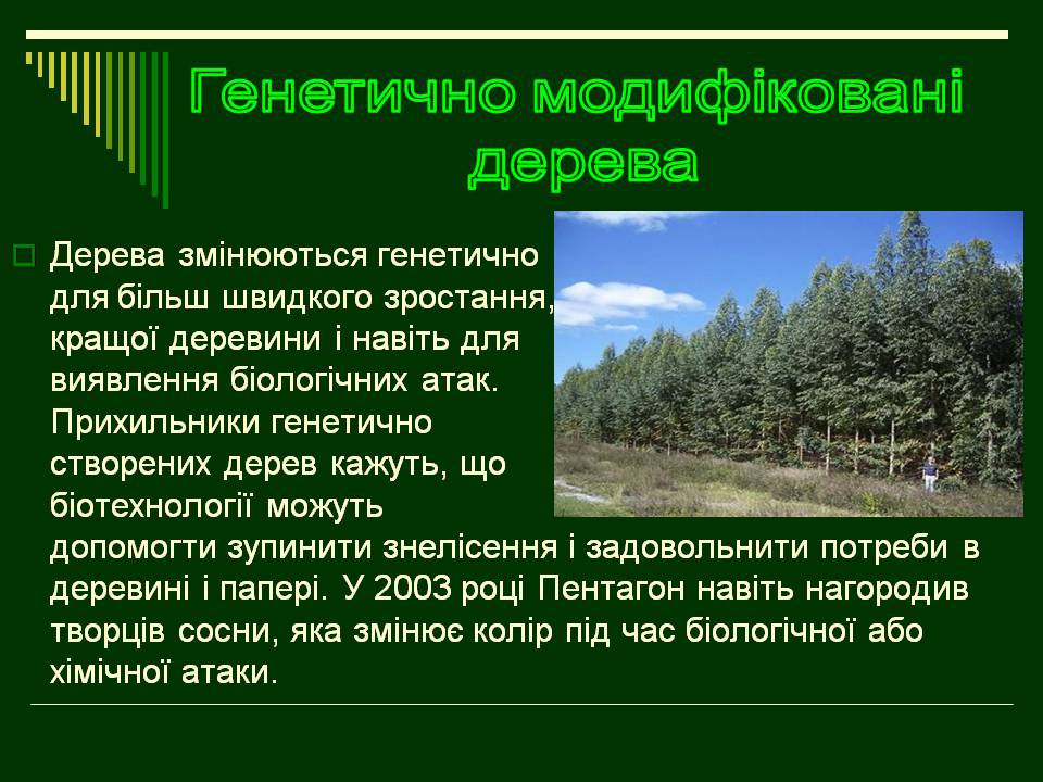 Презентація на тему «Трансгенні організми» (варіант 8) - Слайд #16 Презентація на тему «Трансгенні організми» (варіант 8) - Слайд #16