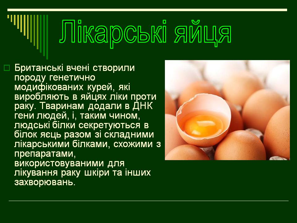Презентація на тему «Трансгенні організми» (варіант 8) - Слайд #17 Презентація на тему «Трансгенні організми» (варіант 8) - Слайд #17