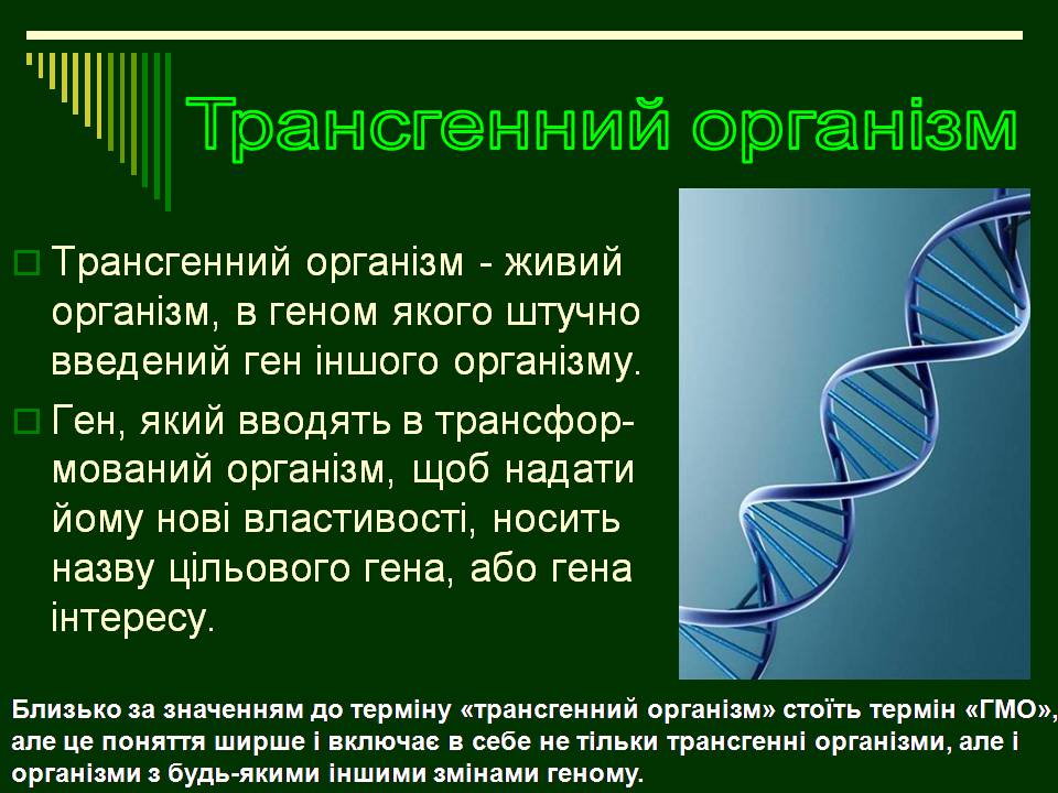 Презентація на тему «Трансгенні організми» (варіант 8) - Слайд #2 Презентація на тему «Трансгенні організми» (варіант 8) - Слайд #2