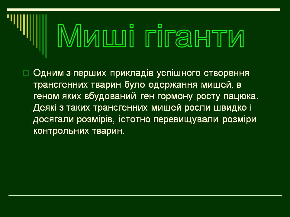 Презентація на тему «Трансгенні організми» (варіант 8) - Слайд #7 Презентація на тему «Трансгенні організми» (варіант 8) - Слайд #7