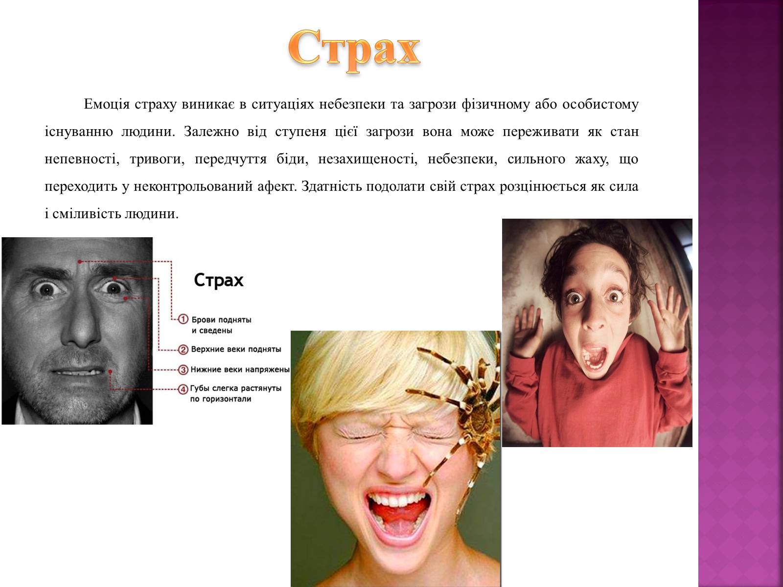 Презентація на тему «Емоції» (варіант 1) - Слайд #14 Презентація на тему «Емоції» (варіант 1) - Слайд #14