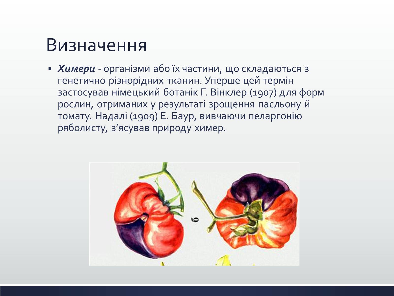 Презентація на тему «Химерні та трансгенні організми» (варіант 1) - Слайд #2 Презентація на тему «Химерні та трансгенні організми» (варіант 1) - Слайд #2