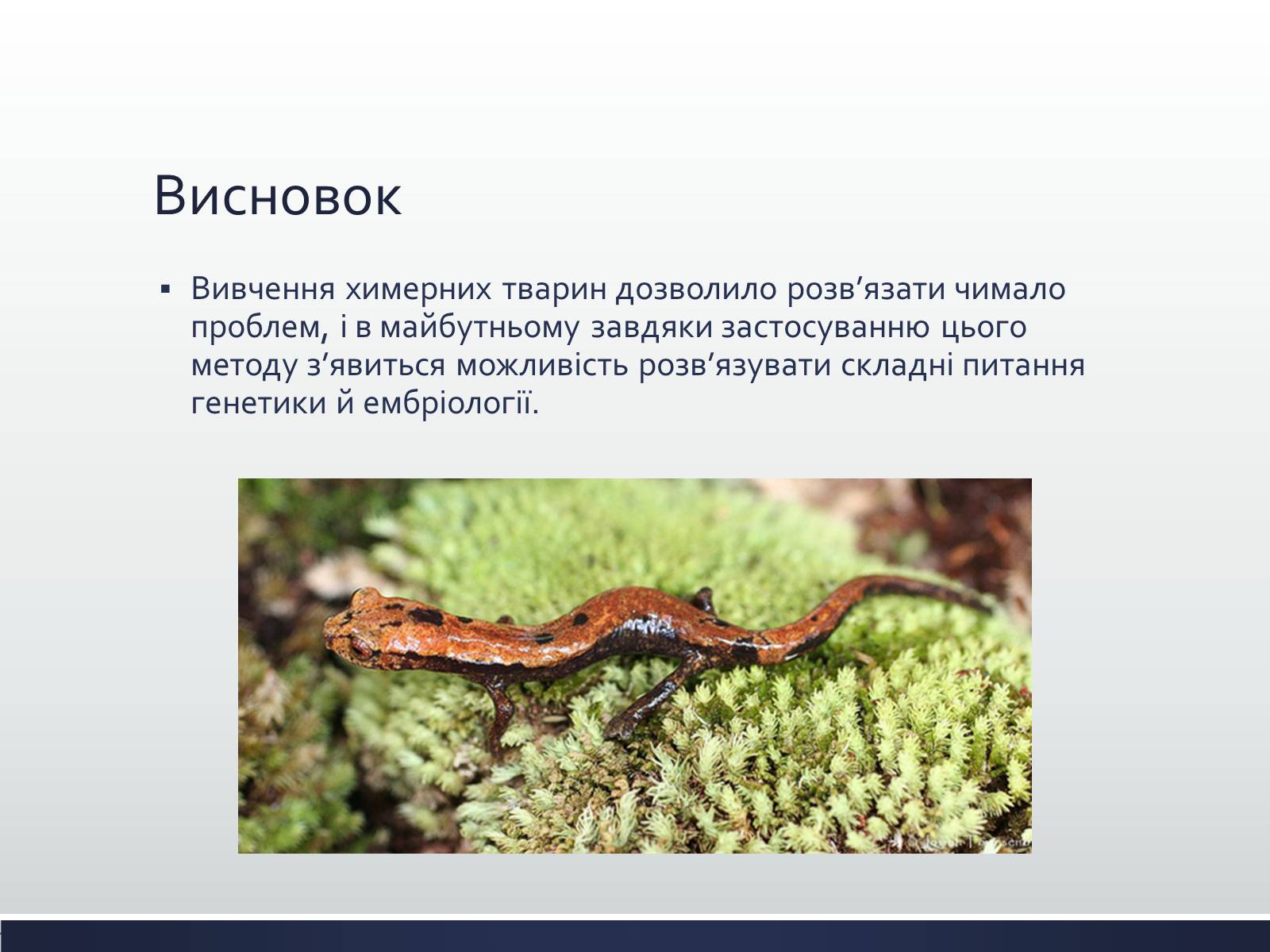 Презентація на тему «Химерні та трансгенні організми» (варіант 1) - Слайд #6 Презентація на тему «Химерні та трансгенні організми» (варіант 1) - Слайд #6