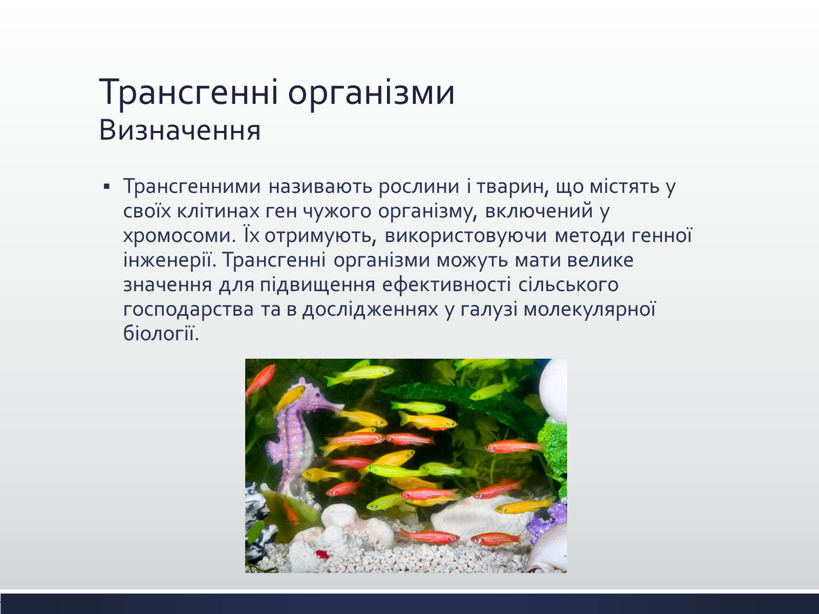 Презентація на тему «Химерні та трансгенні організми» (варіант 1) - Слайд #7 Презентація на тему «Химерні та трансгенні організми» (варіант 1) - Слайд #7