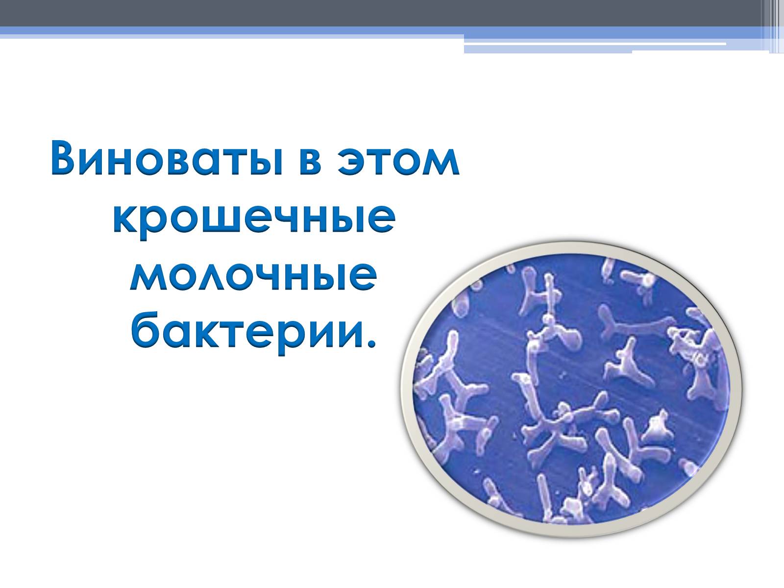 Презентація на тему «Почему скисает молоко?» - Слайд #15 Презентація на тему «Почему скисает молоко?» - Слайд #15