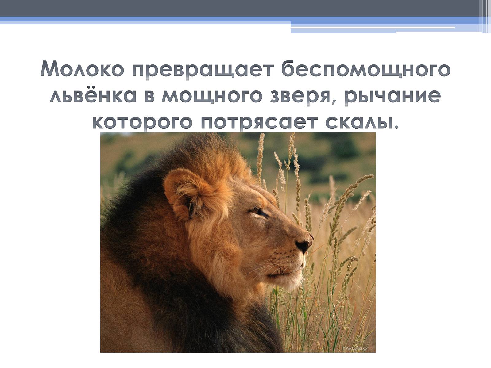 Презентація на тему «Почему скисает молоко?» - Слайд #6 Презентація на тему «Почему скисает молоко?» - Слайд #6