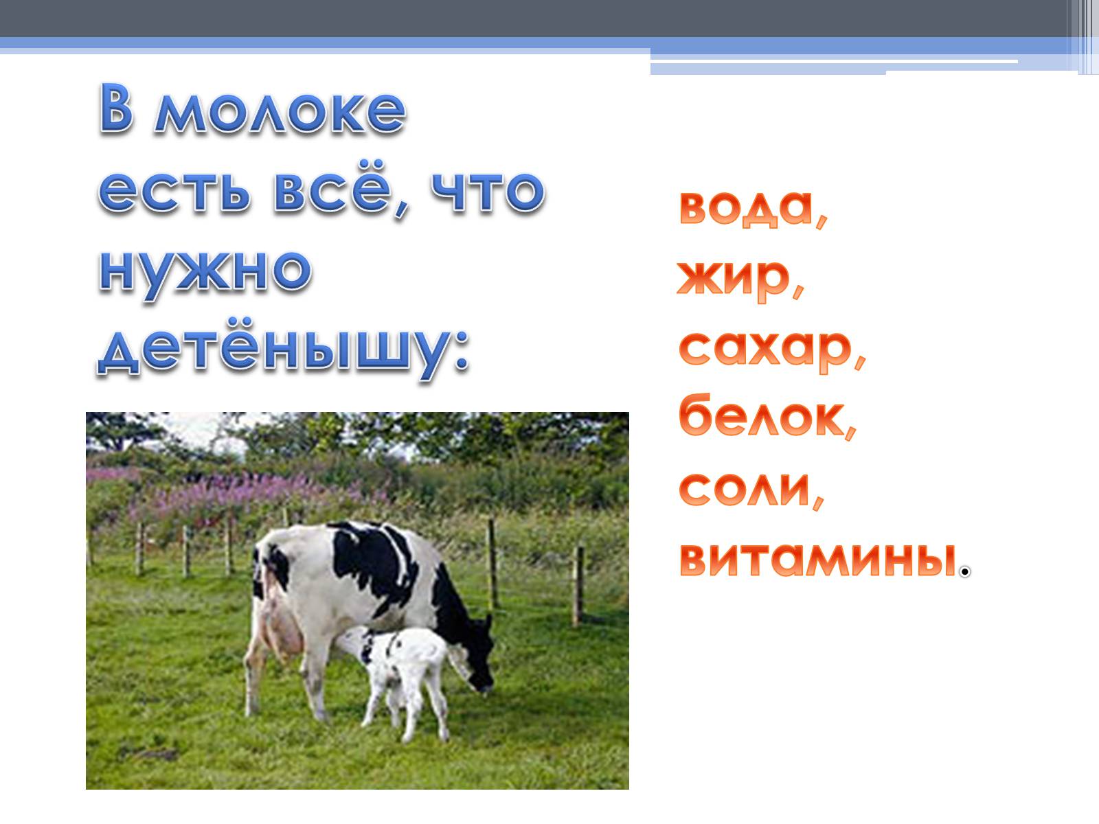 Презентація на тему «Почему скисает молоко?» - Слайд #8 Презентація на тему «Почему скисает молоко?» - Слайд #8