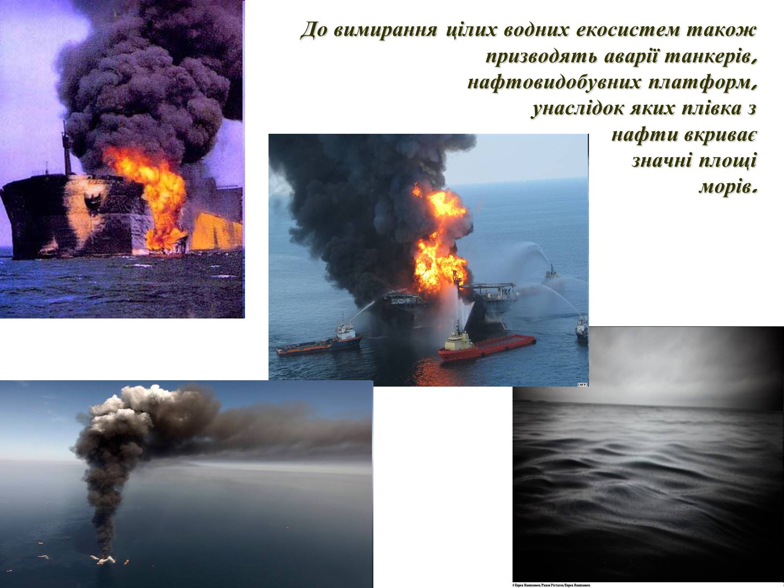 Презентація на тему «Вплив діяльності людини на стан біосфери» (варіант 1) - Слайд #6 Презентація на тему «Вплив діяльності людини на стан біосфери» (варіант 1) - Слайд #6