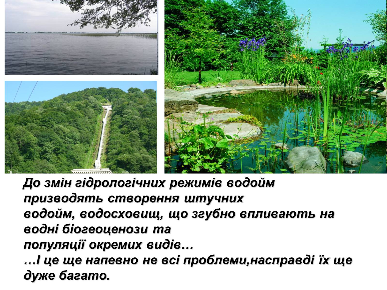 Презентація на тему «Вплив діяльності людини на стан біосфери» (варіант 1) - Слайд #7 Презентація на тему «Вплив діяльності людини на стан біосфери» (варіант 1) - Слайд #7