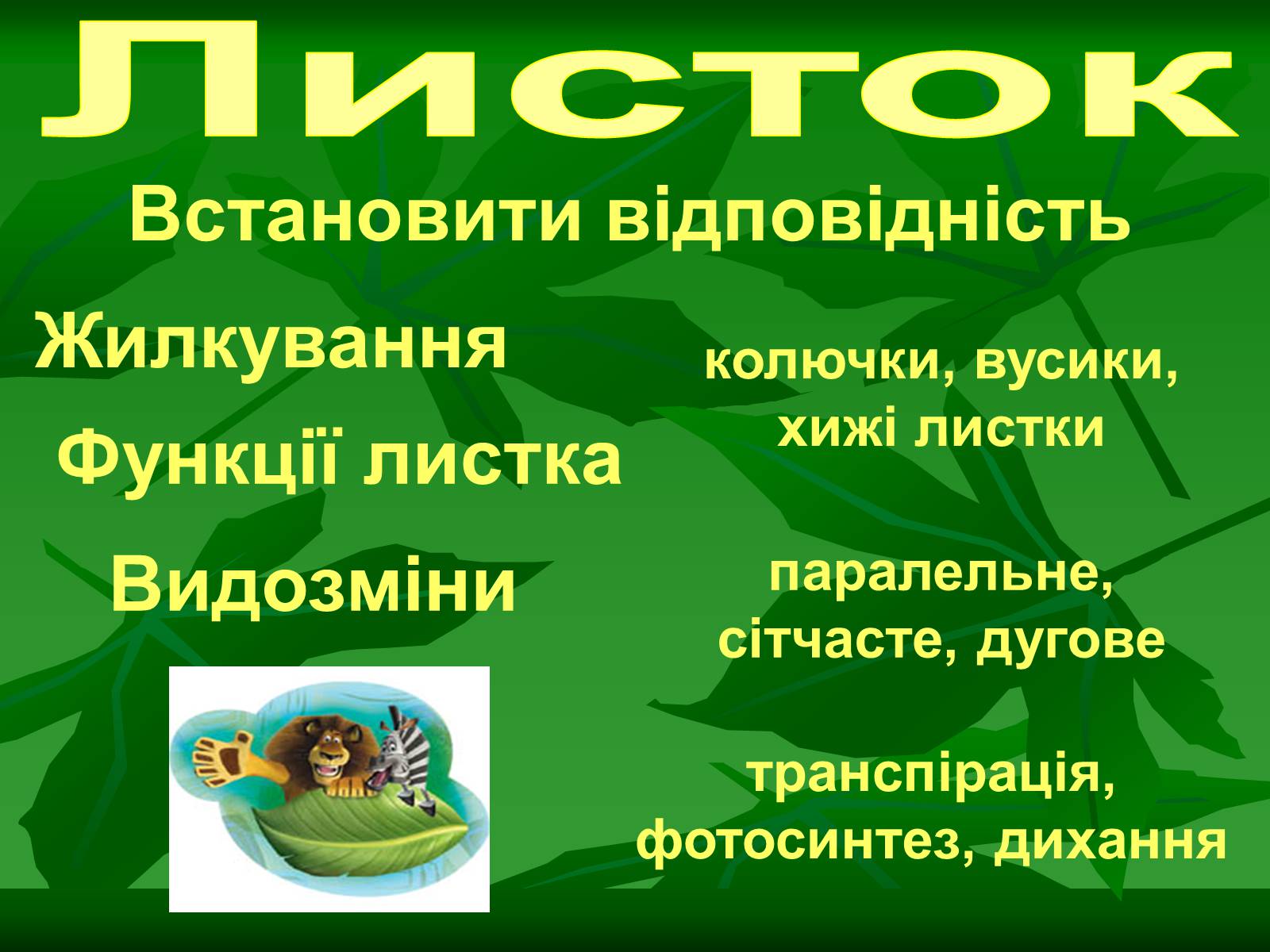 Презентація на тему «Листок» - Слайд #39 Презентація на тему «Листок» - Слайд #39