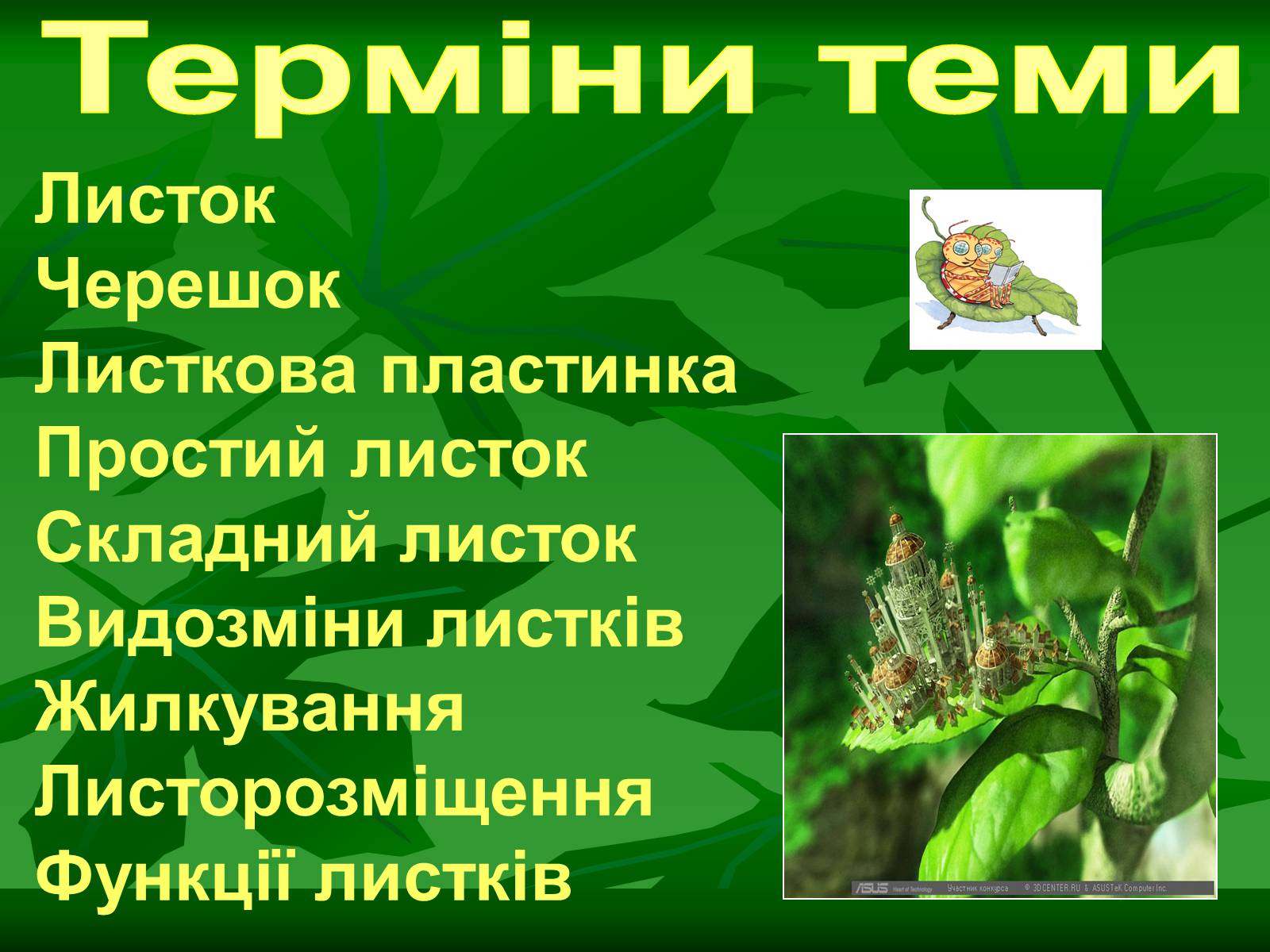 Презентація на тему «Листок» - Слайд #4 Презентація на тему «Листок» - Слайд #4