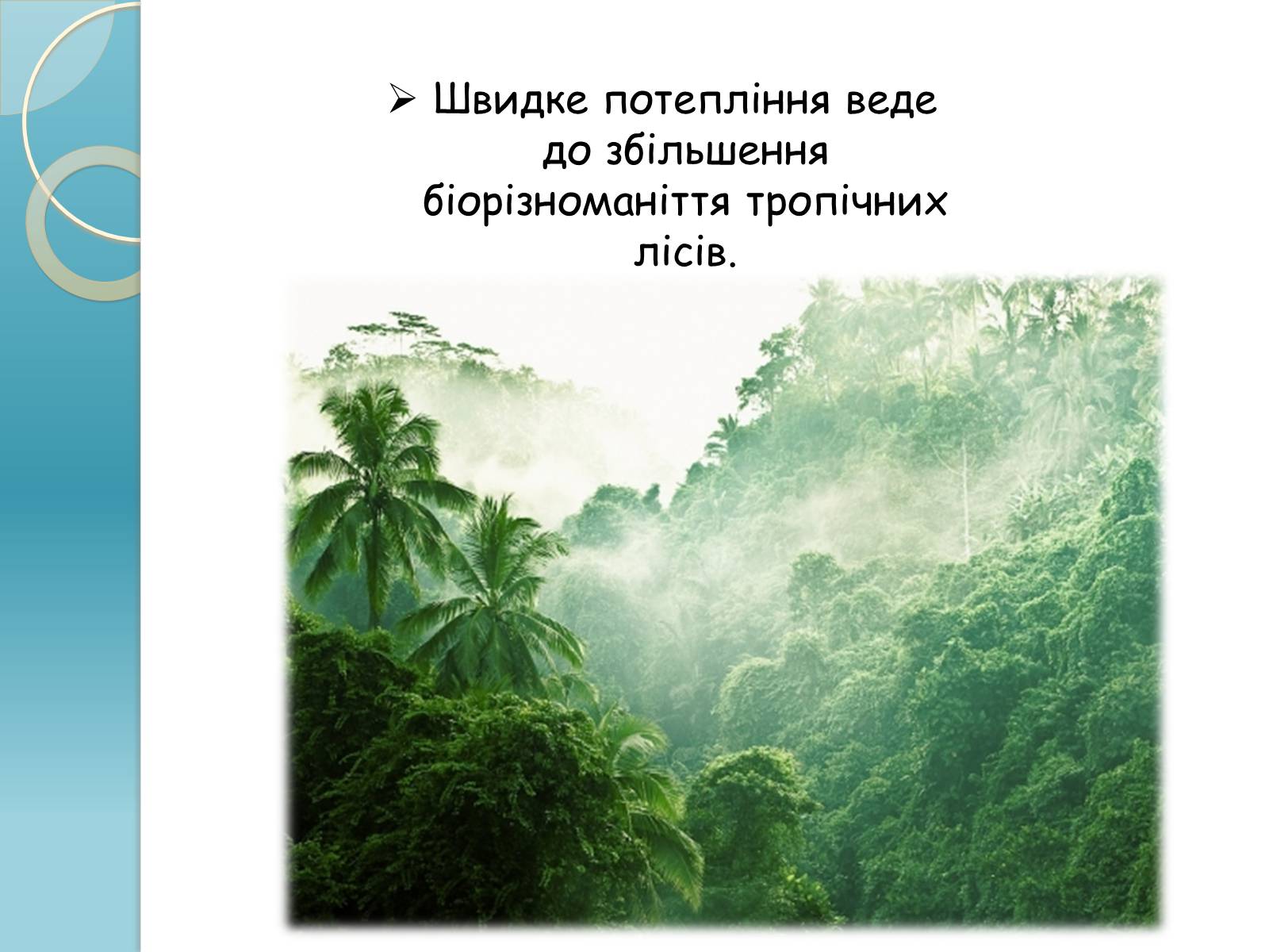 Презентація на тему «Біорізноманіття» (варіант 1) - Слайд #14 Презентація на тему «Біорізноманіття» (варіант 1) - Слайд #14