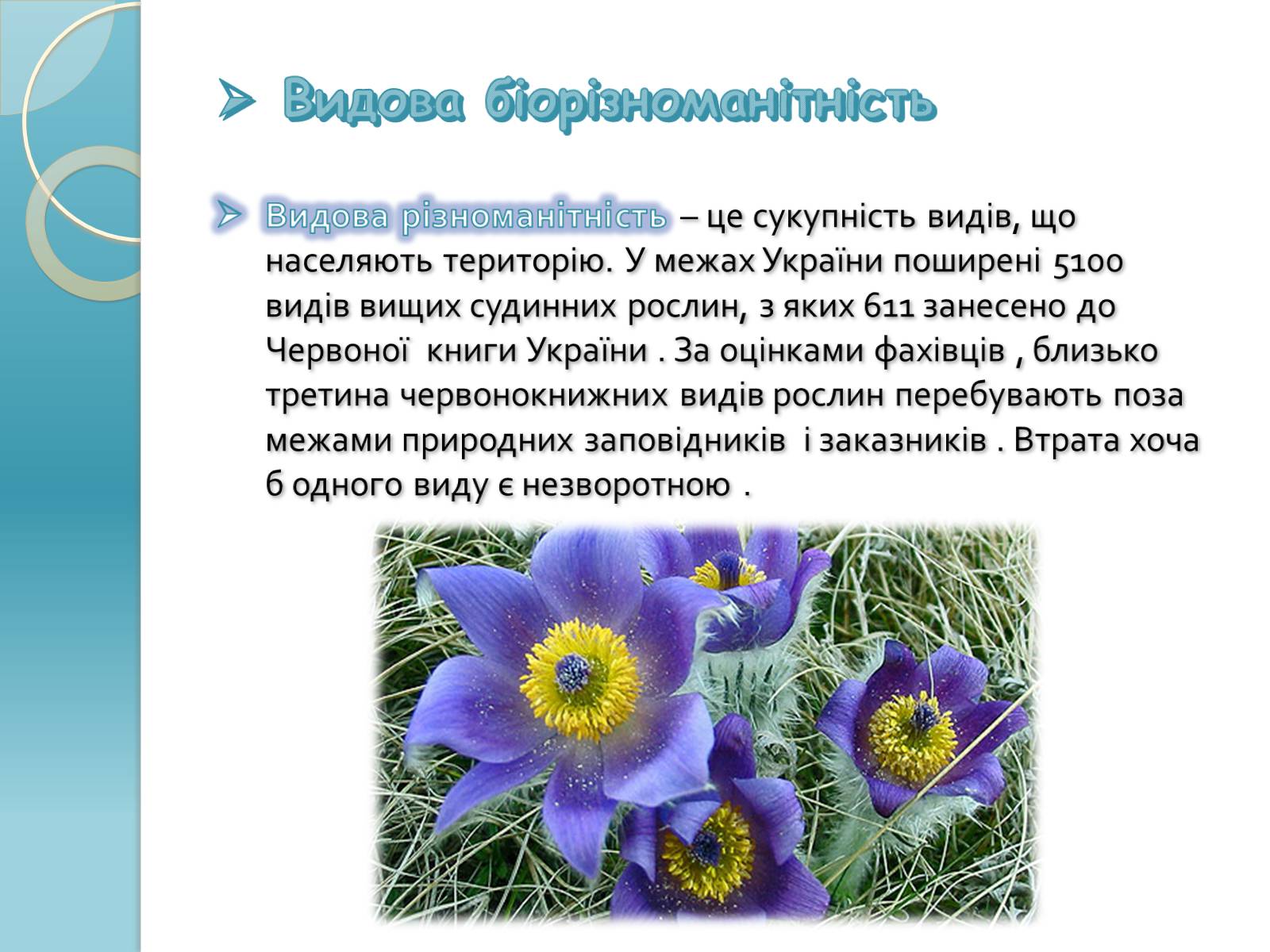 Презентація на тему «Біорізноманіття» (варіант 1) - Слайд #5 Презентація на тему «Біорізноманіття» (варіант 1) - Слайд #5