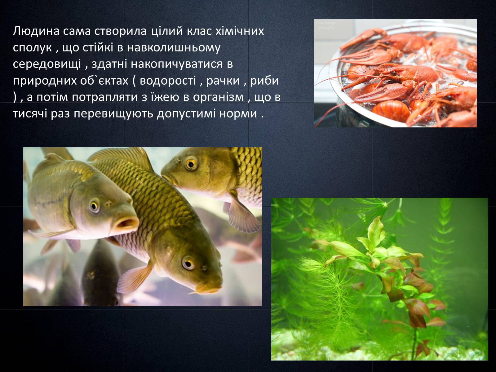 Презентація на тему «Попередження забруднення довкілля при використанні органічних речовин у побуті» - Слайд #5 Презентація на тему «Попередження забруднення довкілля при використанні органічних речовин у побуті» - Слайд #5