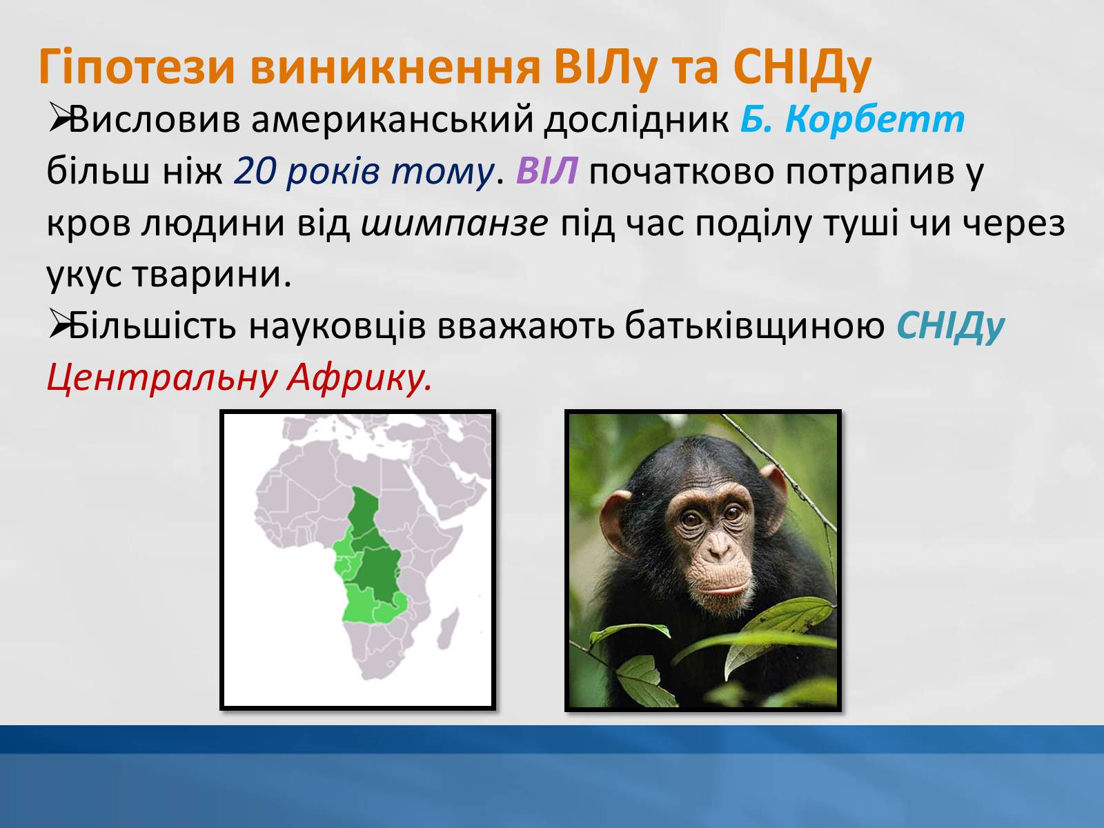 Презентація на тему «ВІЛ. СНІД. інфекції ІПСШ: шляхи передачі і методи захисту» (варіант 11) - Слайд #4 Презентація на тему «ВІЛ. СНІД. інфекції ІПСШ: шляхи передачі і методи захисту» (варіант 11) - Слайд #4