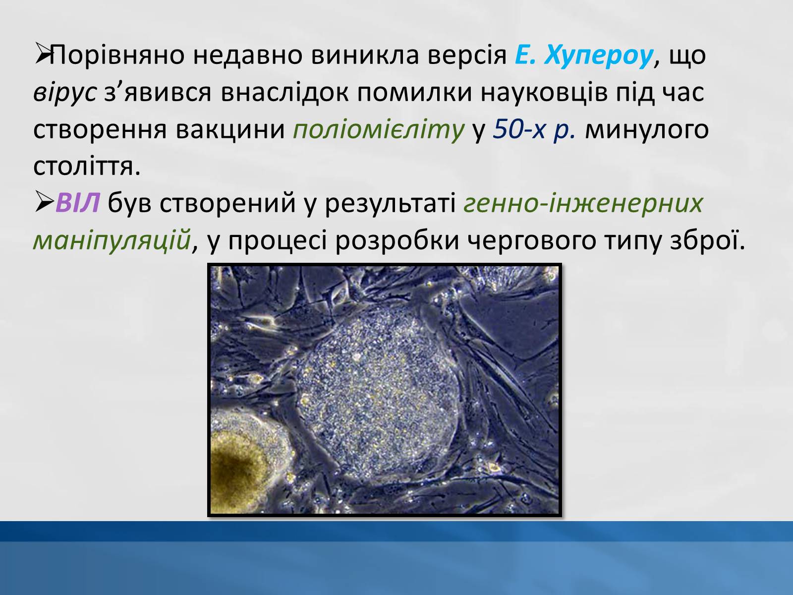 Презентація на тему «ВІЛ. СНІД. інфекції ІПСШ: шляхи передачі і методи захисту» (варіант 11) - Слайд #5 Презентація на тему «ВІЛ. СНІД. інфекції ІПСШ: шляхи передачі і методи захисту» (варіант 11) - Слайд #5