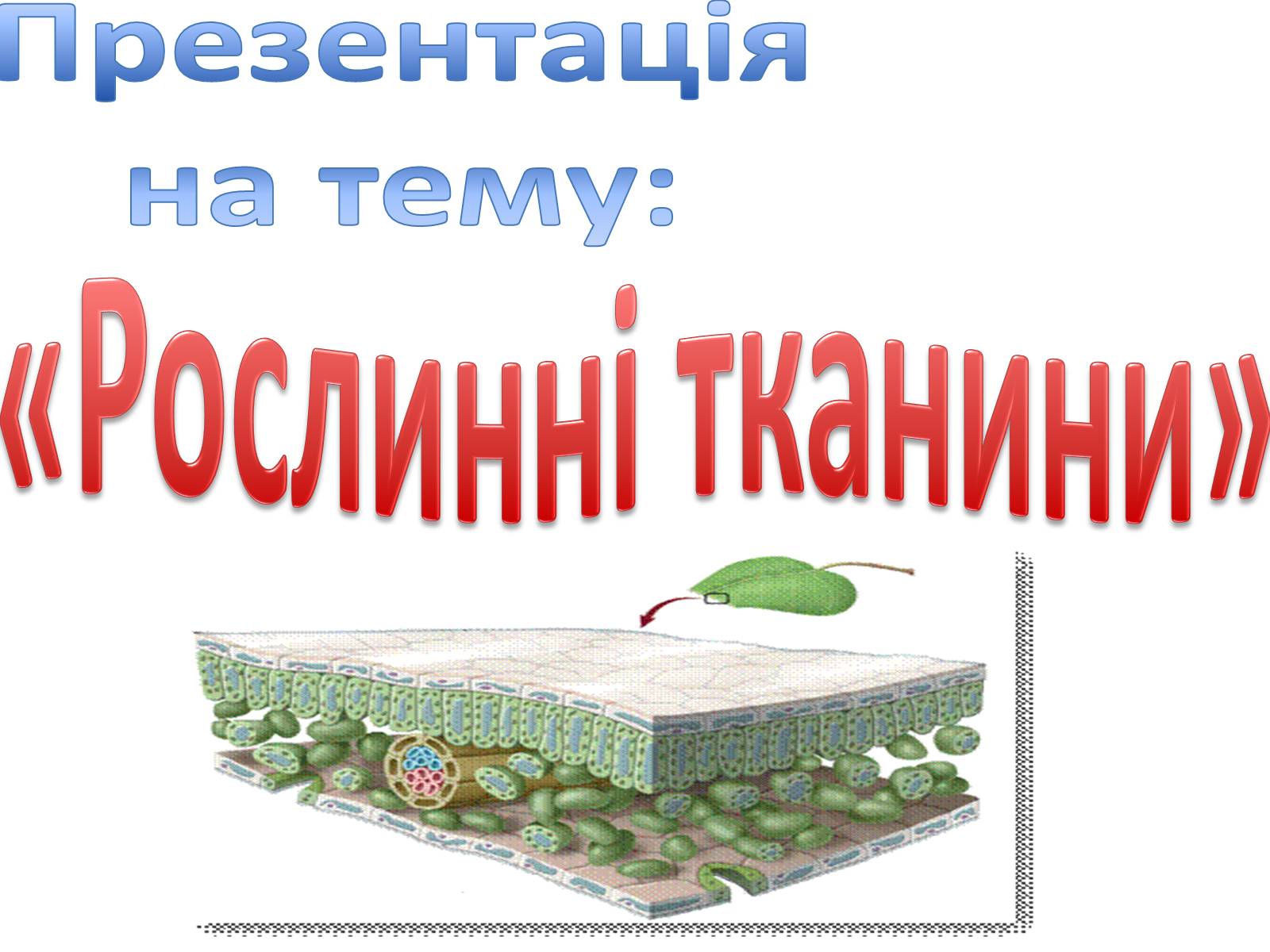 Презентація на тему «Рослинні тканини» (варіант 1) - Слайд #1 Презентація на тему «Рослинні тканини» (варіант 1) - Слайд #1