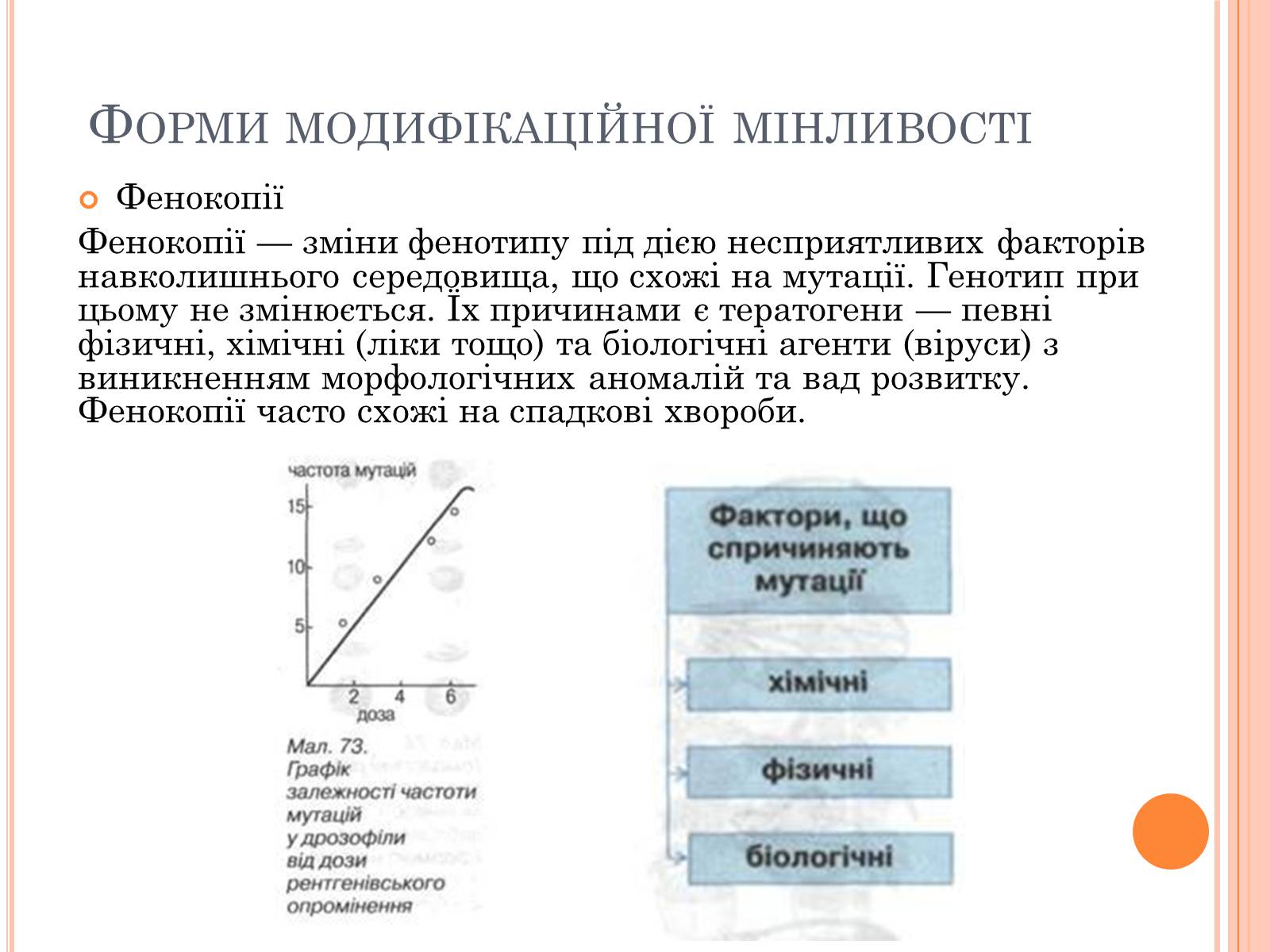 Презентація на тему «Модефікаційна мінливість» - Слайд #12 Презентація на тему «Модефікаційна мінливість» - Слайд #12