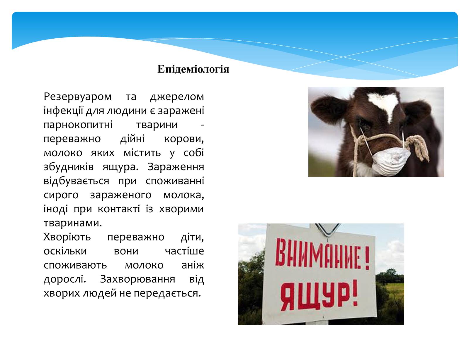 Презентація на тему «Інфекційні захворювання» (варіант 5) - Слайд #7 Презентація на тему «Інфекційні захворювання» (варіант 5) - Слайд #7