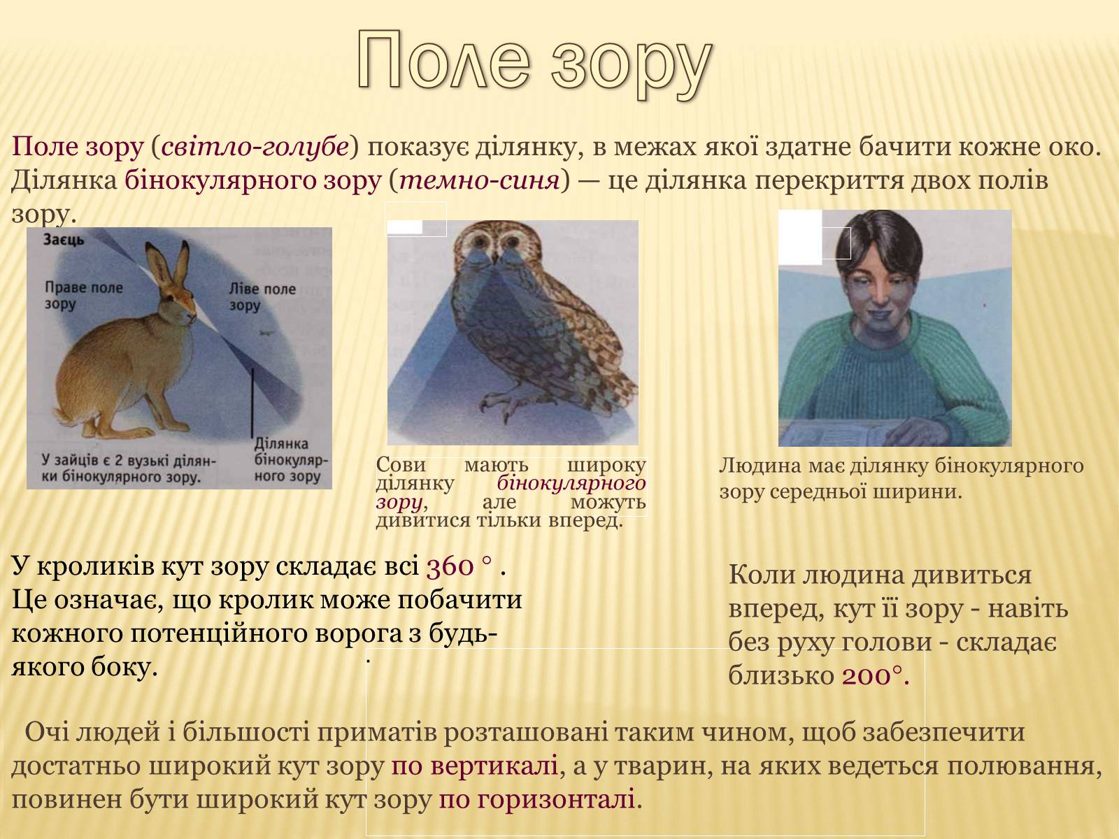 Презентація на тему «Сприйняття світу тваринами» - Слайд #16 Презентація на тему «Сприйняття світу тваринами» - Слайд #16
