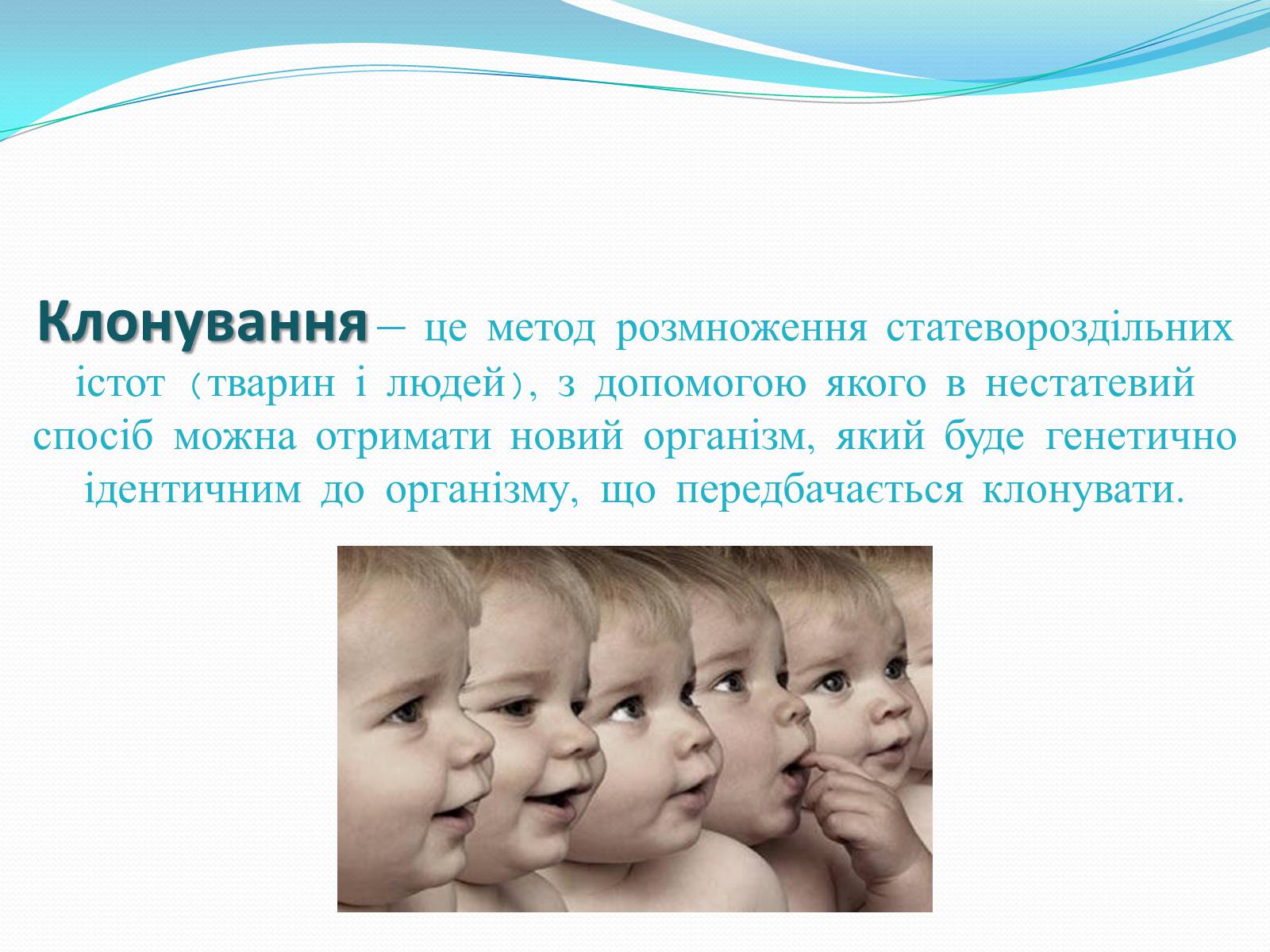 Презентація на тему «Ембріотехнології і клонування» (варіант 2) - Слайд #13 Презентація на тему «Ембріотехнології і клонування» (варіант 2) - Слайд #13