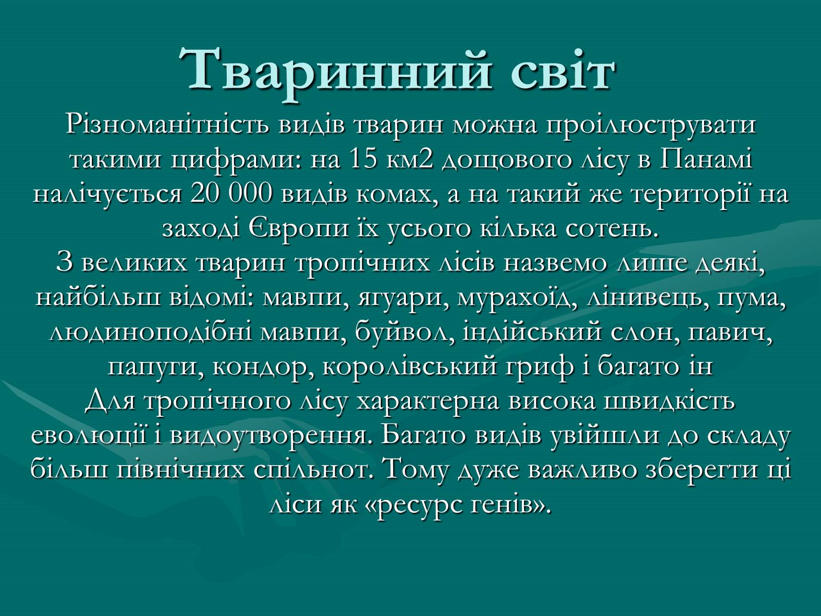 Презентація на тему «Вічнозелені тропічні дощові ліси» - Слайд #5 Презентація на тему «Вічнозелені тропічні дощові ліси» - Слайд #5