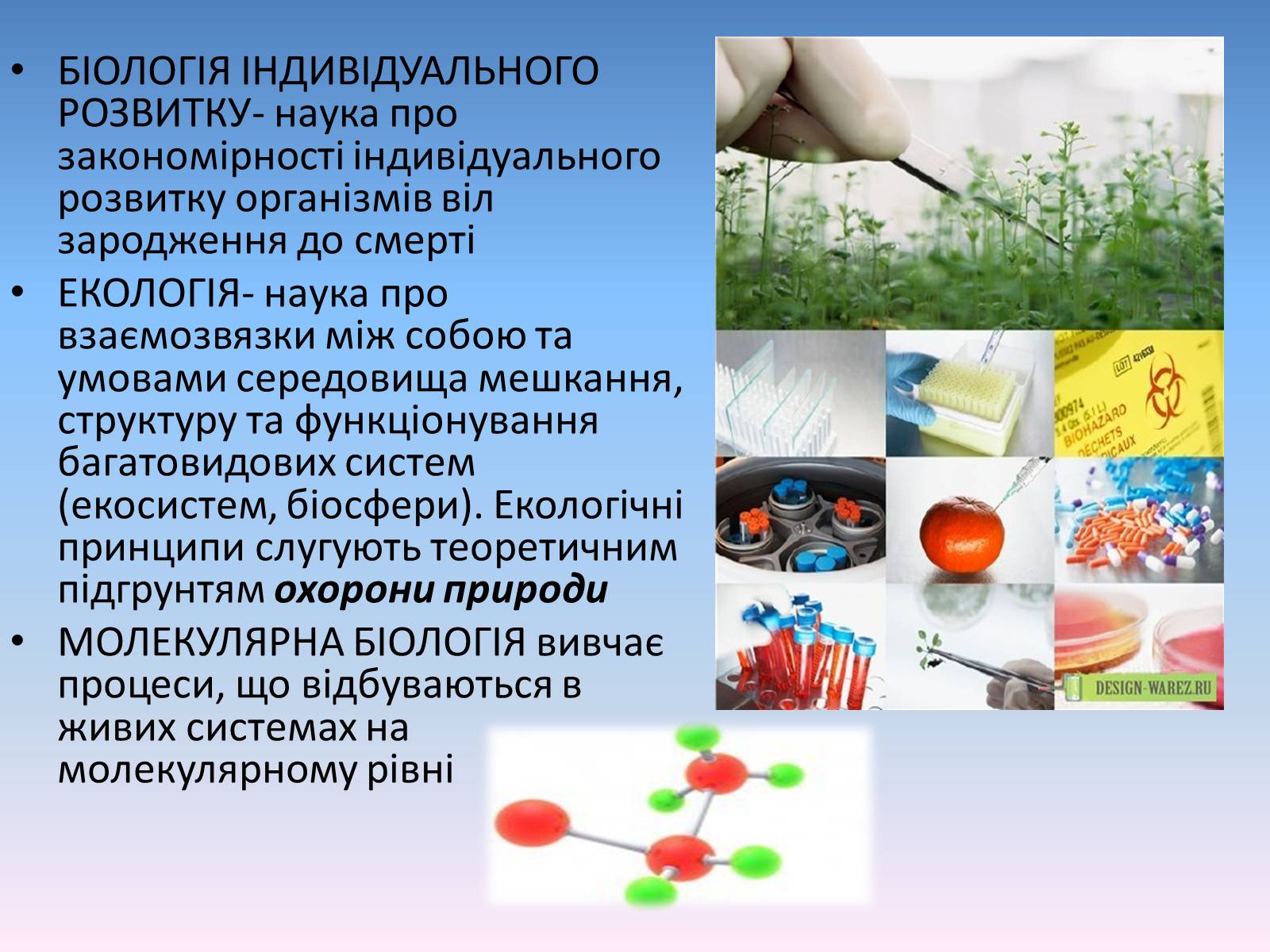 Презентація на тему «Сучасні біологічні науки» - Слайд #4 Презентація на тему «Сучасні біологічні науки» - Слайд #4