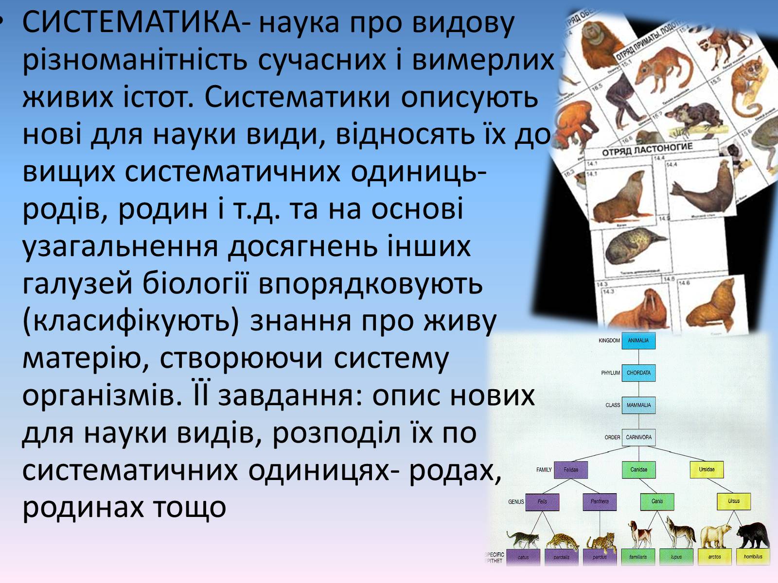 Презентація на тему «Сучасні біологічні науки» - Слайд #5 Презентація на тему «Сучасні біологічні науки» - Слайд #5