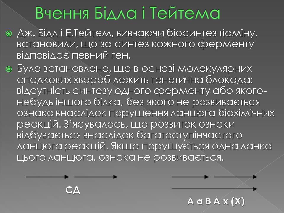 Презентація на тему «Історія вивчення генетики людини» - Слайд #7 Презентація на тему «Історія вивчення генетики людини» - Слайд #7