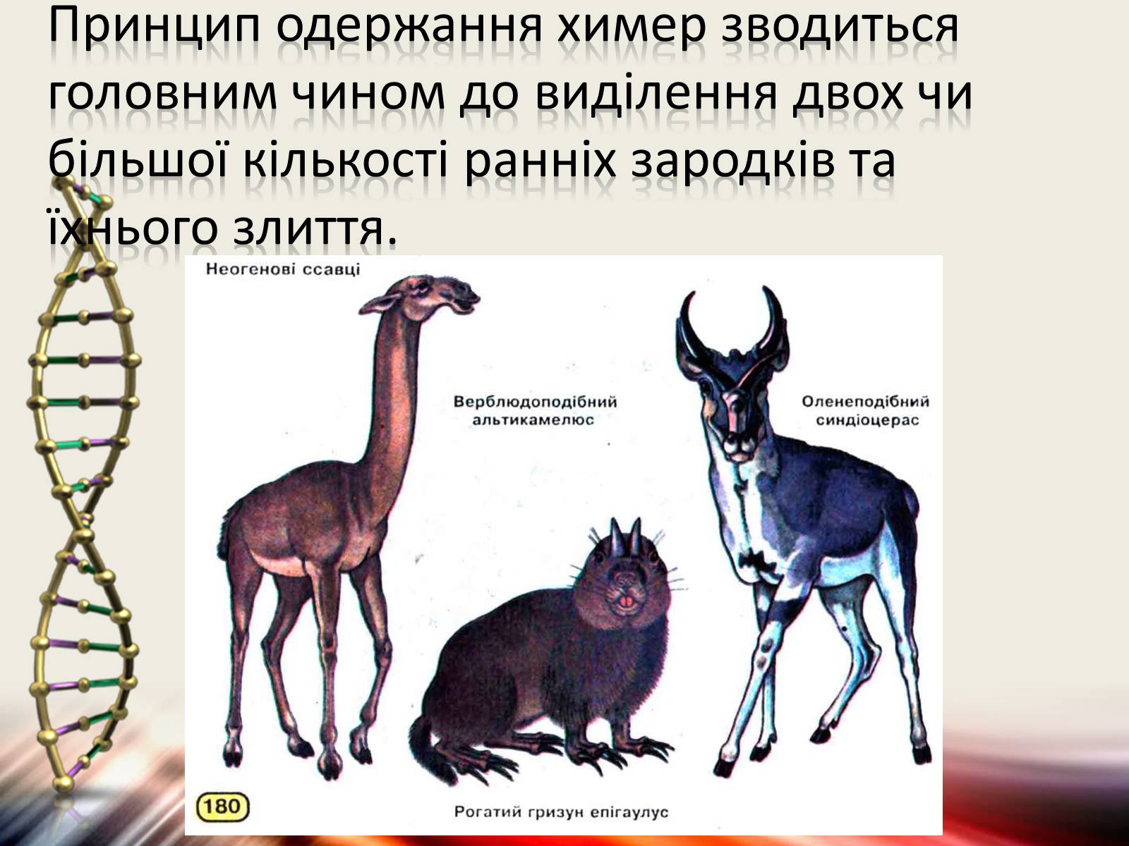 Презентація на тему «Трансгенні організми» (варіант 6) - Слайд #3 Презентація на тему «Трансгенні організми» (варіант 6) - Слайд #3