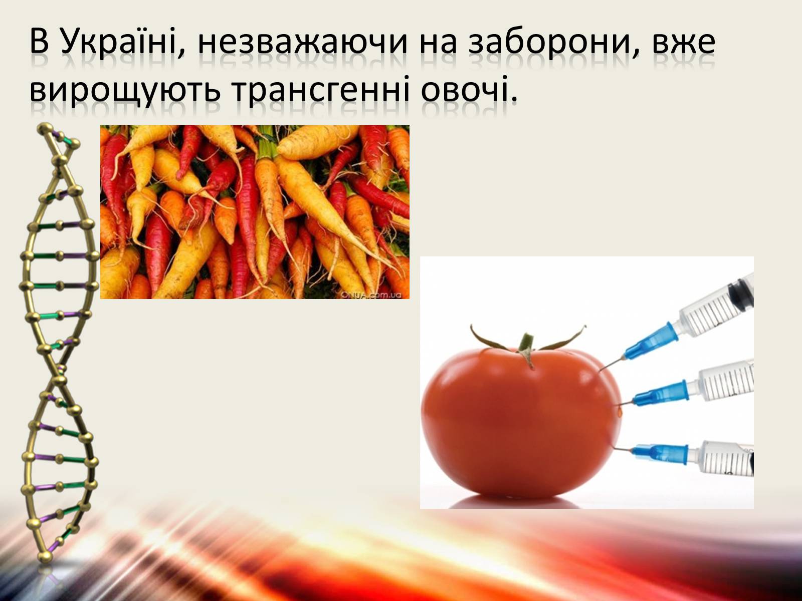 Презентація на тему «Трансгенні організми» (варіант 6) - Слайд #8 Презентація на тему «Трансгенні організми» (варіант 6) - Слайд #8