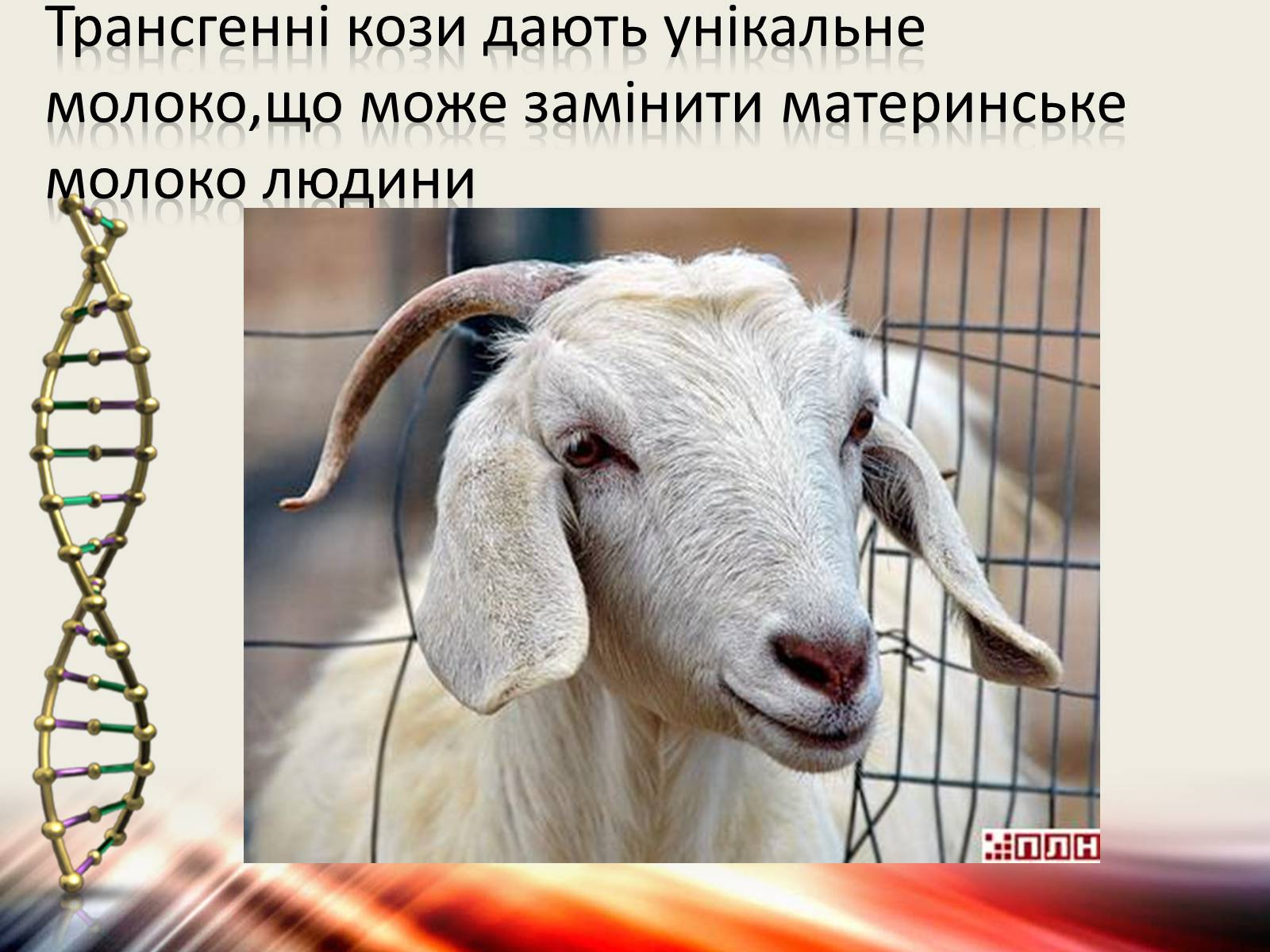 Презентація на тему «Трансгенні організми» (варіант 6) - Слайд #9 Презентація на тему «Трансгенні організми» (варіант 6) - Слайд #9