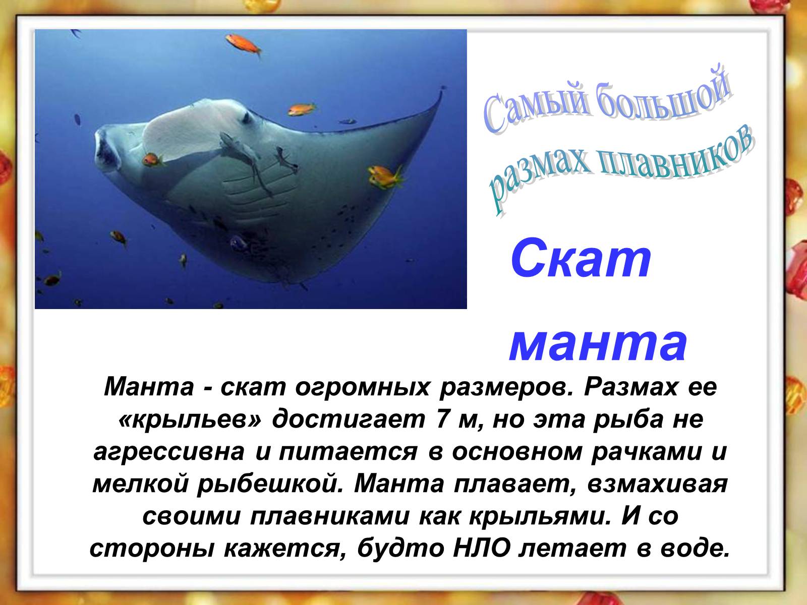 Презентація на тему «Рыбы» - Слайд #8 Презентація на тему «Рыбы» - Слайд #8