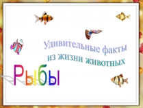 Презентація на тему «Рыбы»