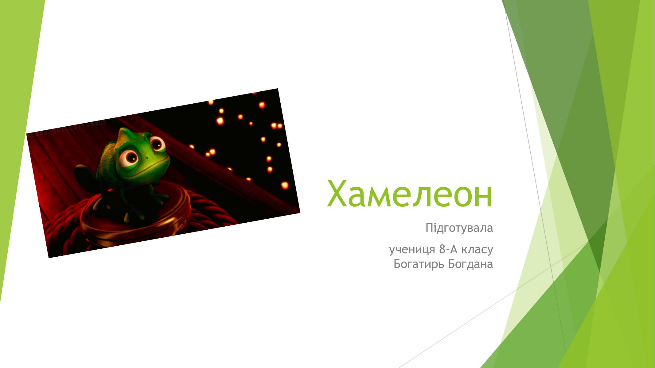 Презентація на тему «Хамелеон» - Слайд #1 Презентація на тему «Хамелеон» - Слайд #1