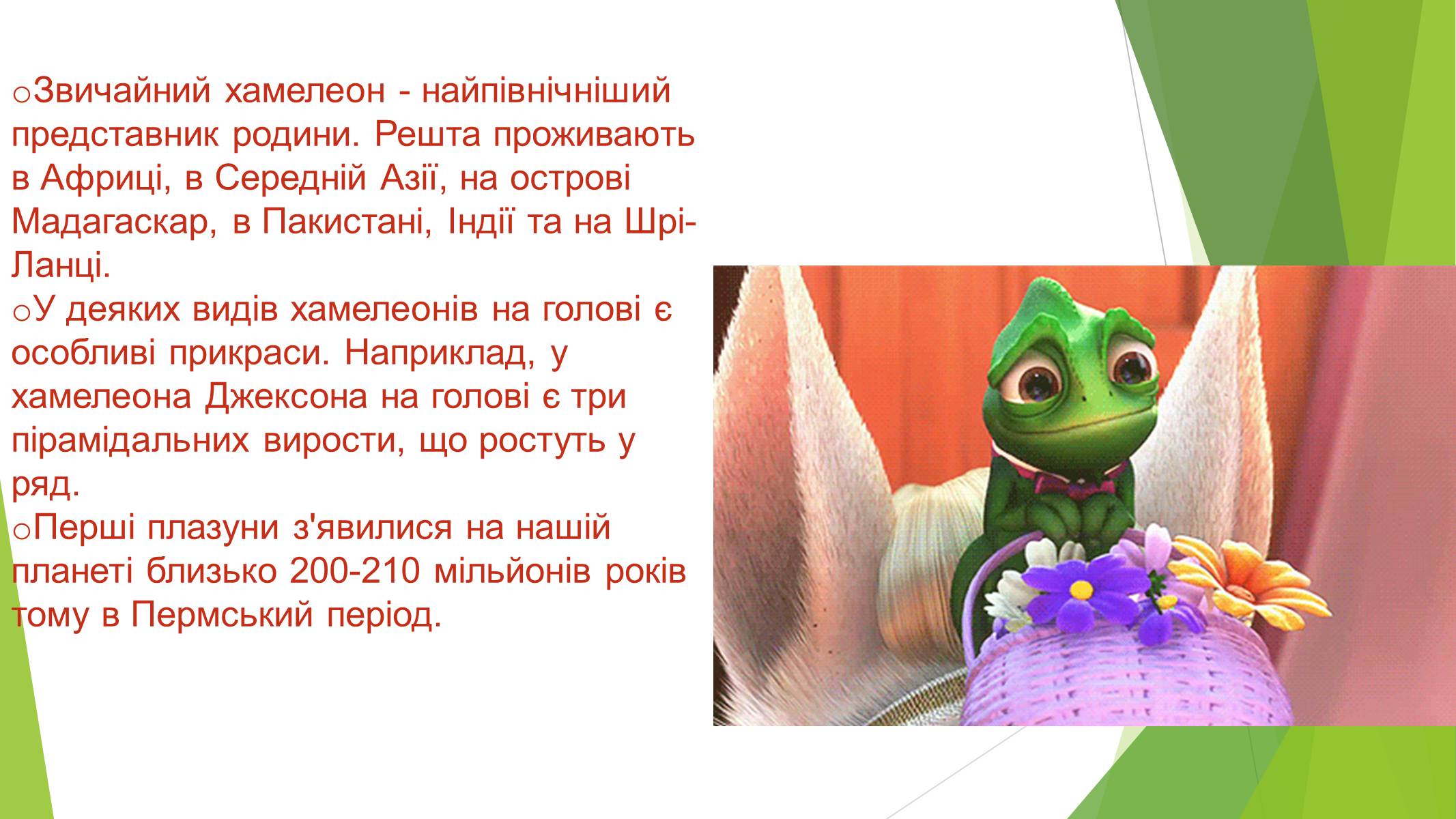 Презентація на тему «Хамелеон» - Слайд #9 Презентація на тему «Хамелеон» - Слайд #9