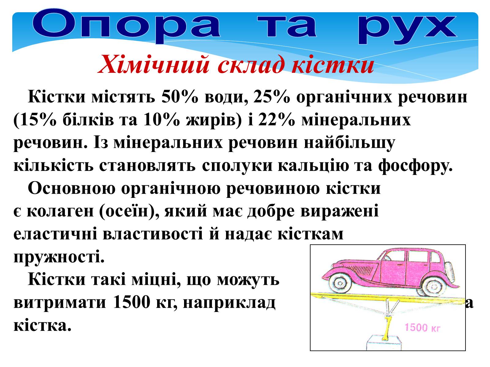 Презентація на тему «Опора і рух» - Слайд #15 Презентація на тему «Опора і рух» - Слайд #15