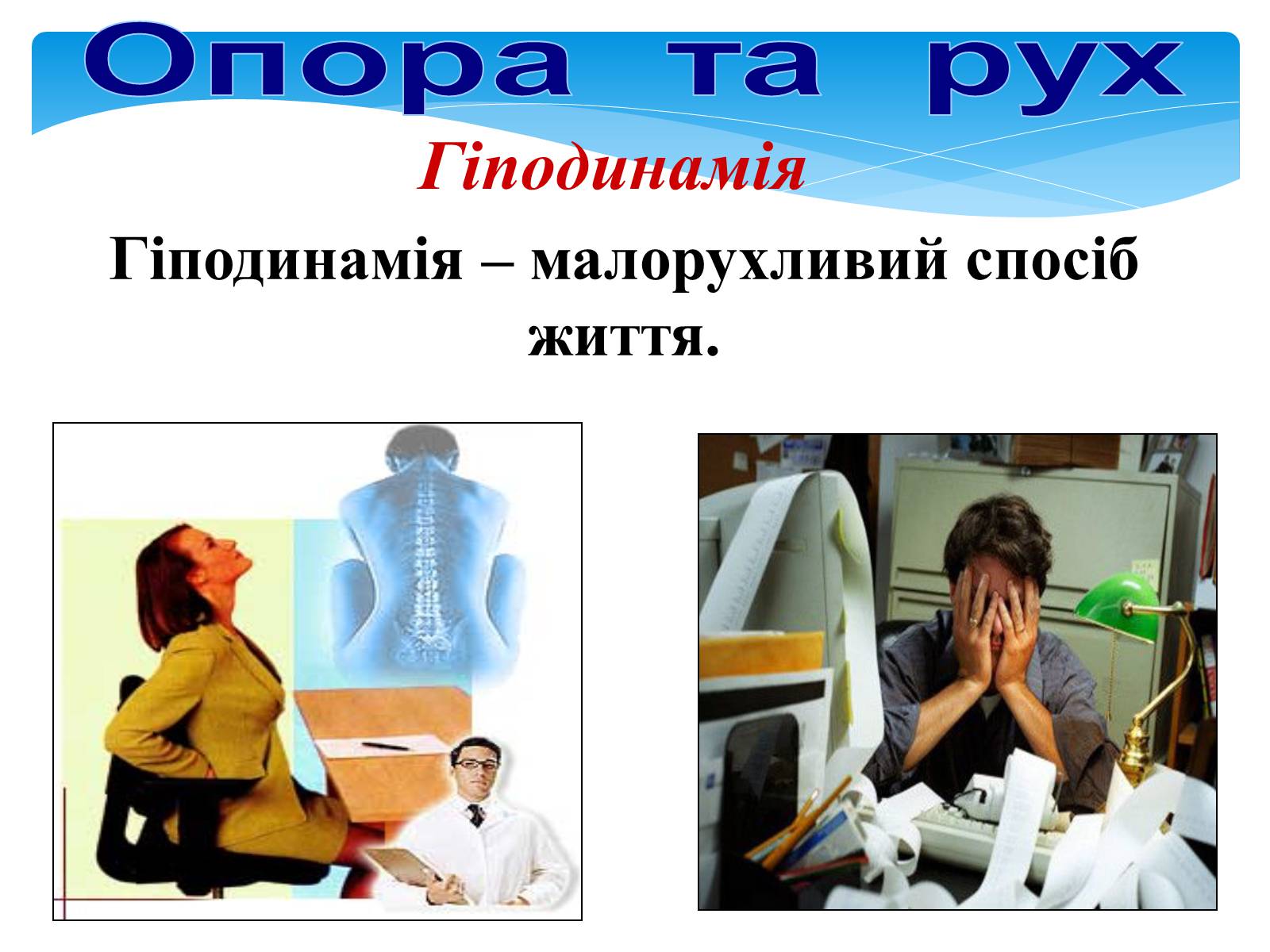 Презентація на тему «Опора і рух» - Слайд #31 Презентація на тему «Опора і рух» - Слайд #31