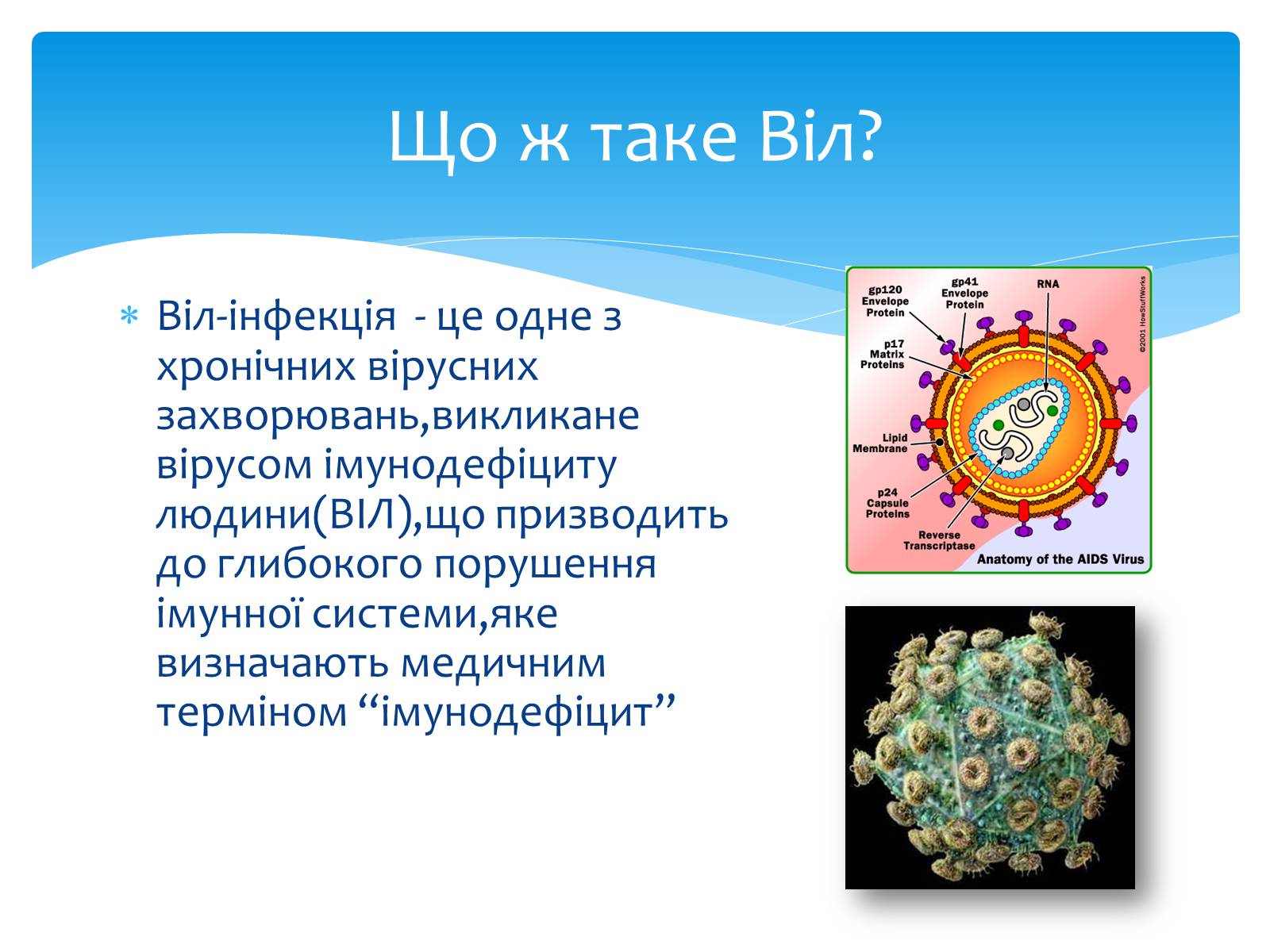 Презентація на тему «ВІЛ. СНІД. інфекції ІПСШ: шляхи передачі і методи захисту» (варіант 13) - Слайд #3 Презентація на тему «ВІЛ. СНІД. інфекції ІПСШ: шляхи передачі і методи захисту» (варіант 13) - Слайд #3