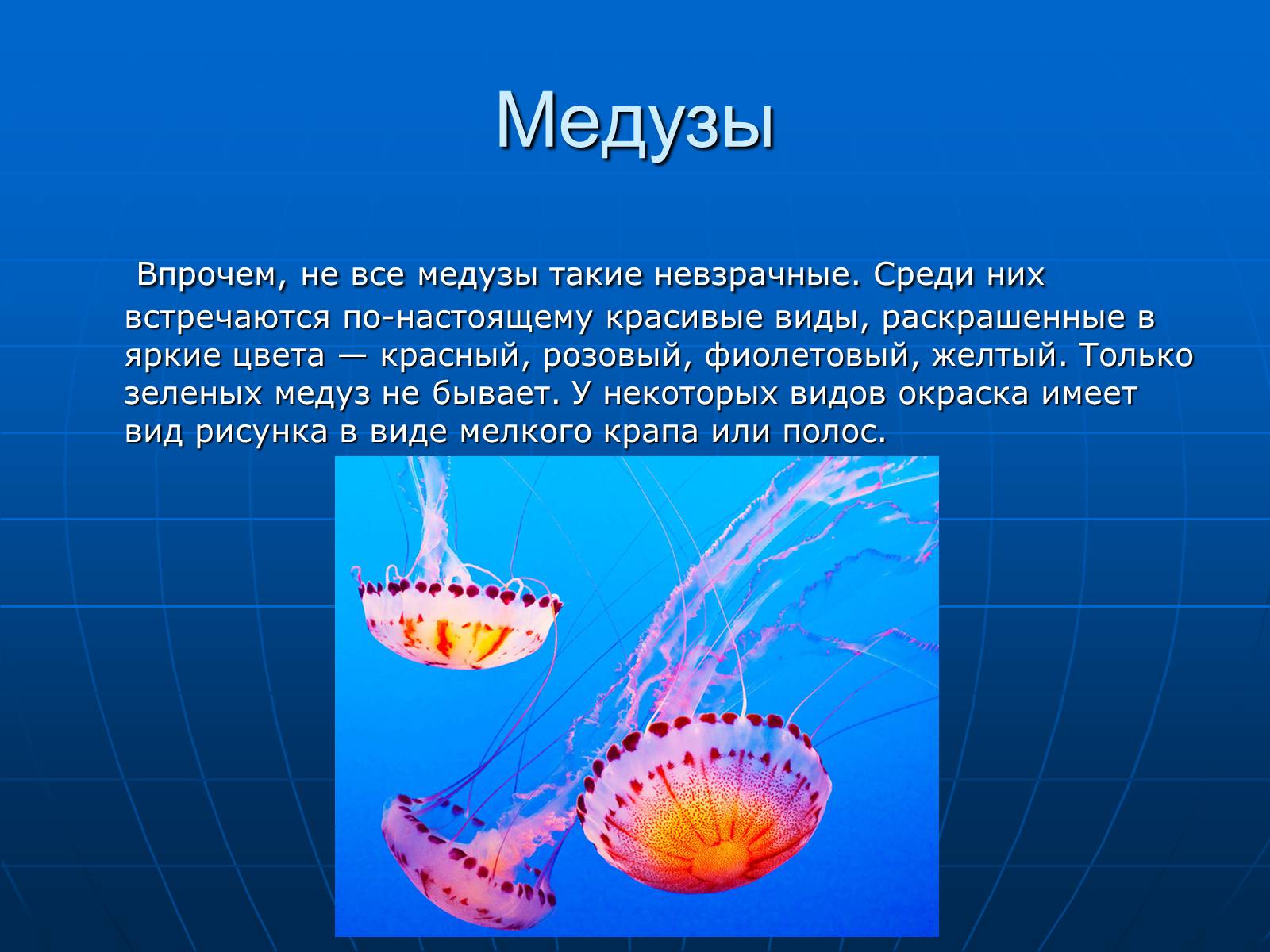 Презентація на тему «Медузи» (варіант 2) - Слайд #18 Презентація на тему «Медузи» (варіант 2) - Слайд #18