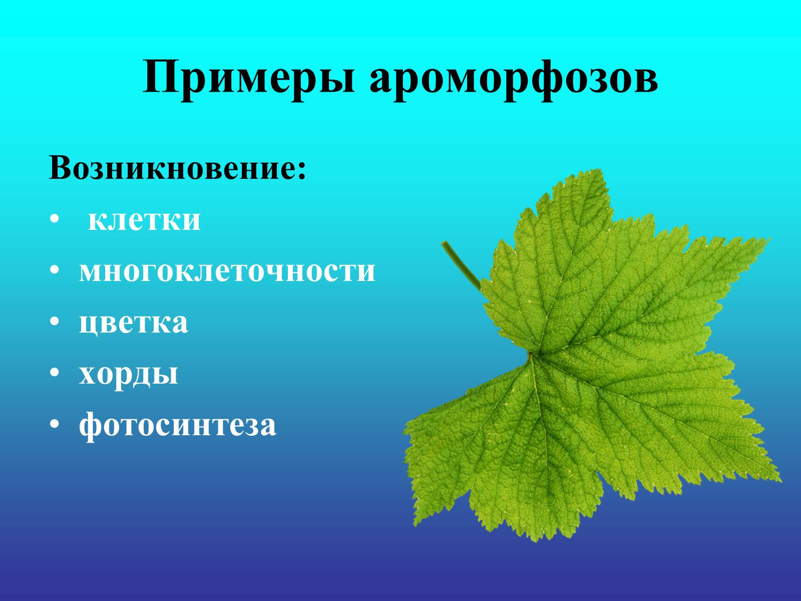 Презентація на тему «Биологический прогресс и регресс» - Слайд #13 Презентація на тему «Биологический прогресс и регресс» - Слайд #13