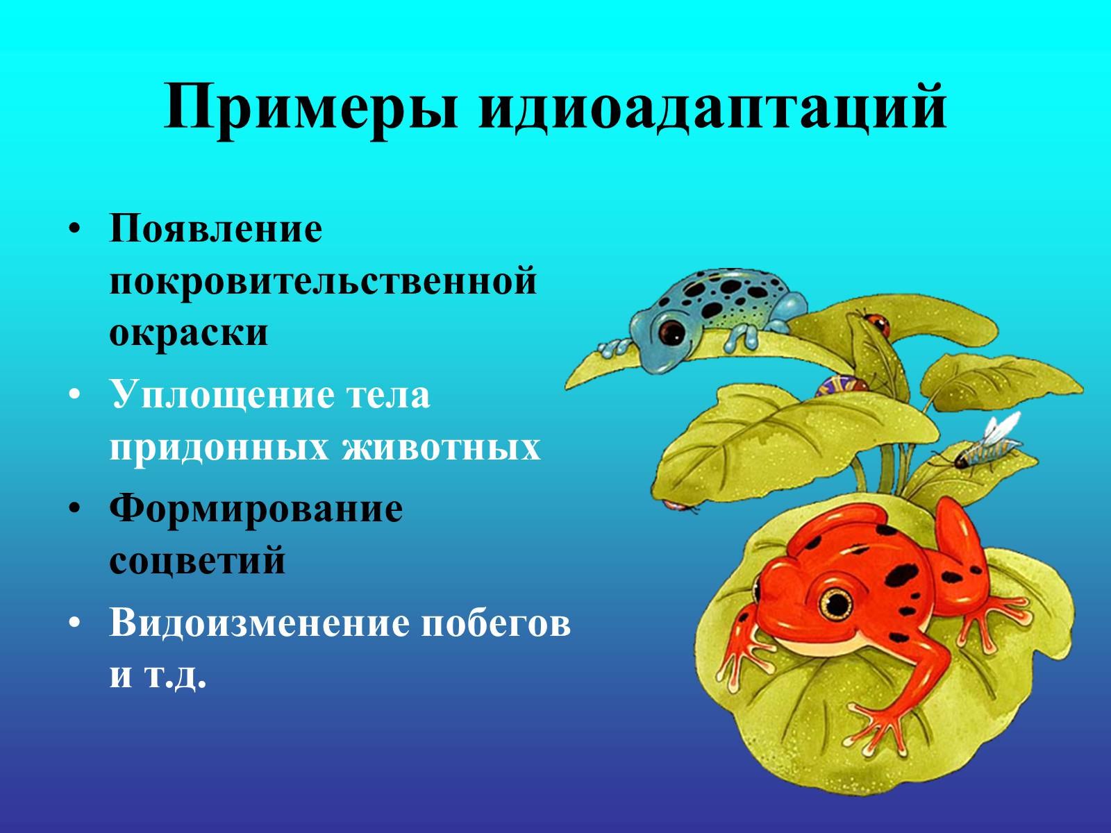 Презентація на тему «Биологический прогресс и регресс» - Слайд #15 Презентація на тему «Биологический прогресс и регресс» - Слайд #15