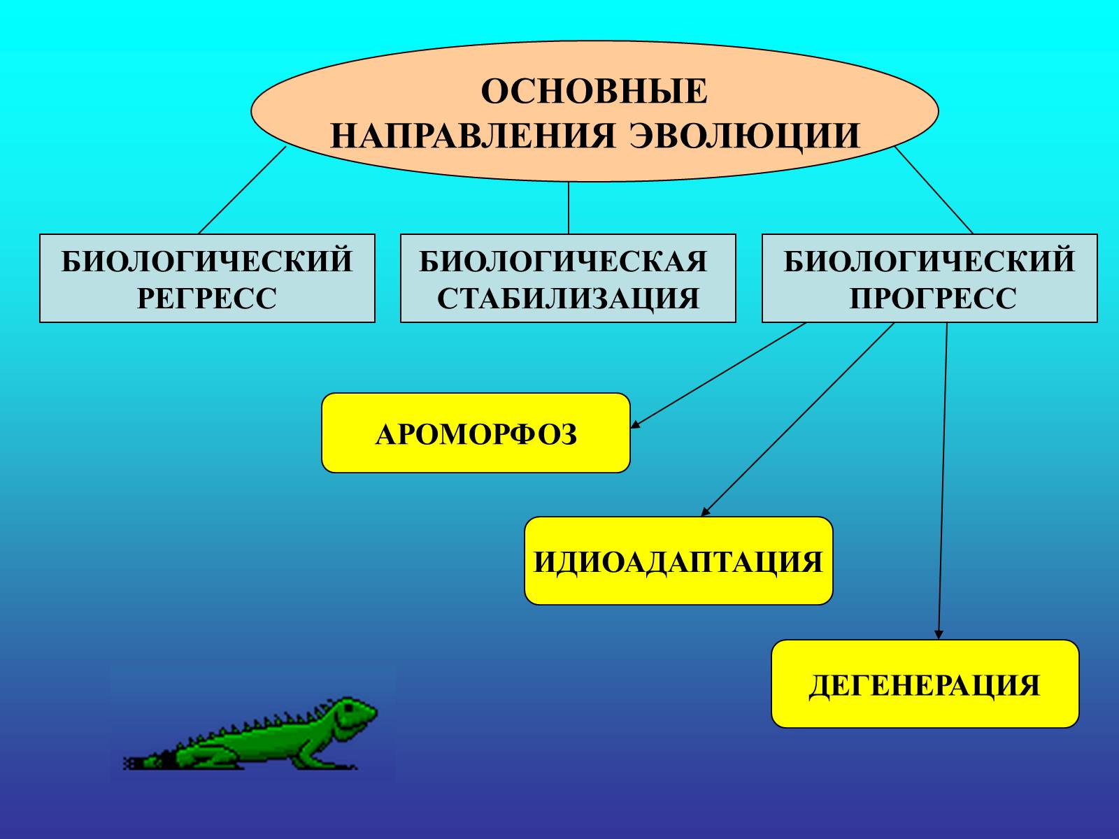 Презентація на тему «Биологический прогресс и регресс» - Слайд #2 Презентація на тему «Биологический прогресс и регресс» - Слайд #2